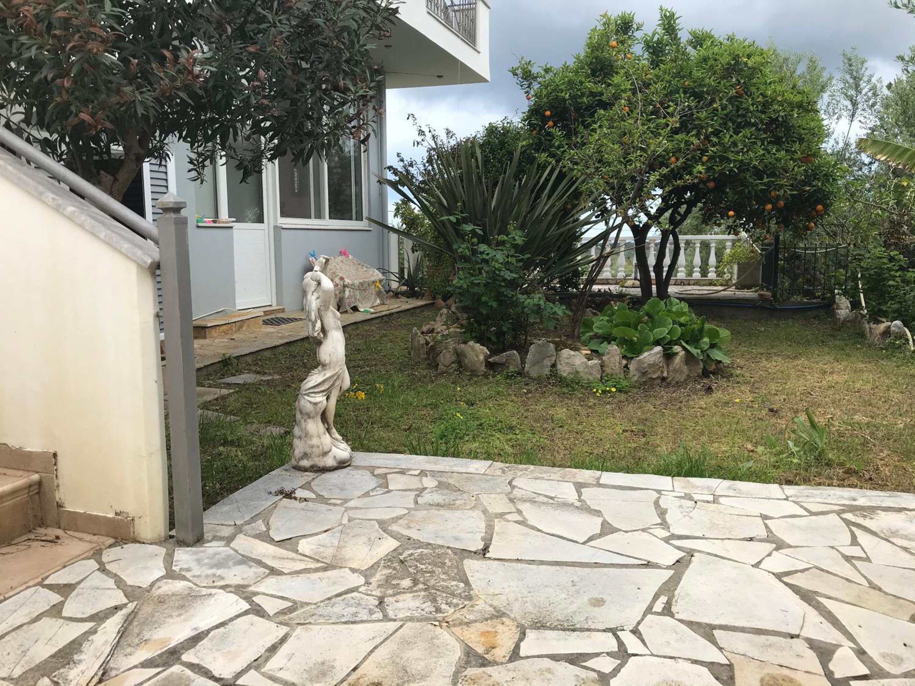 Photo 25
