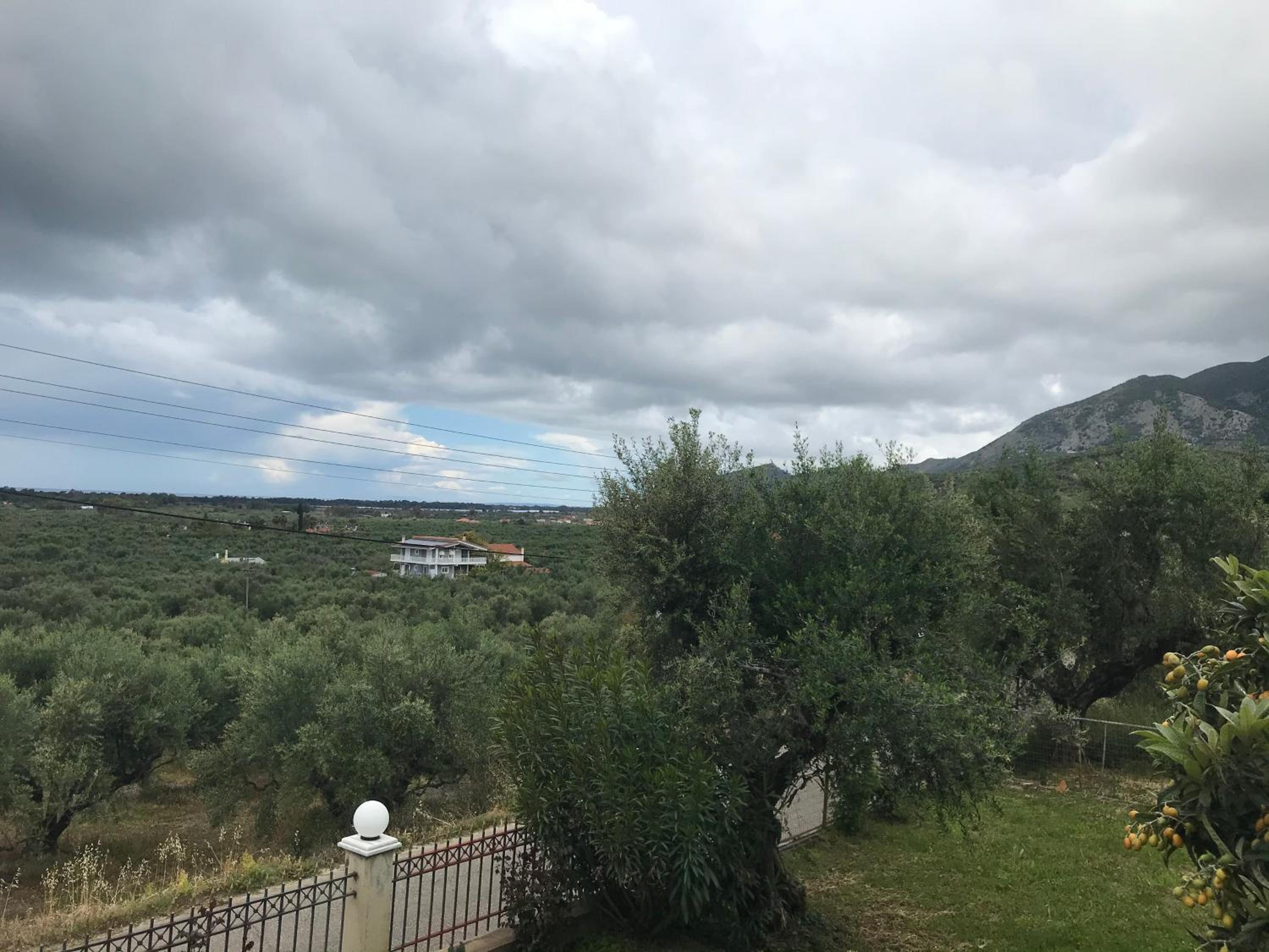 Nondis Room view 2