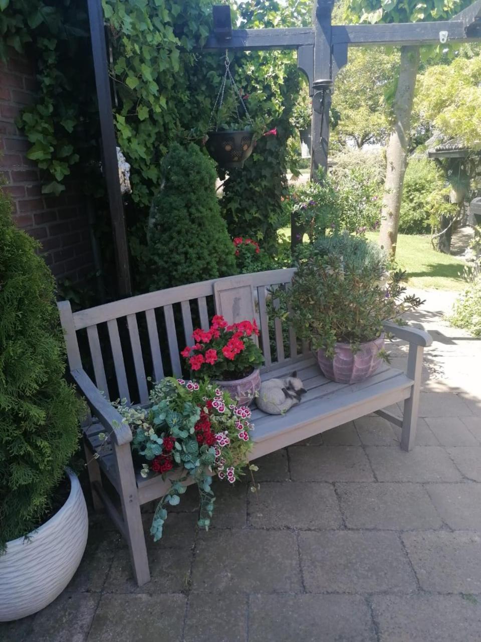 Photo 26
