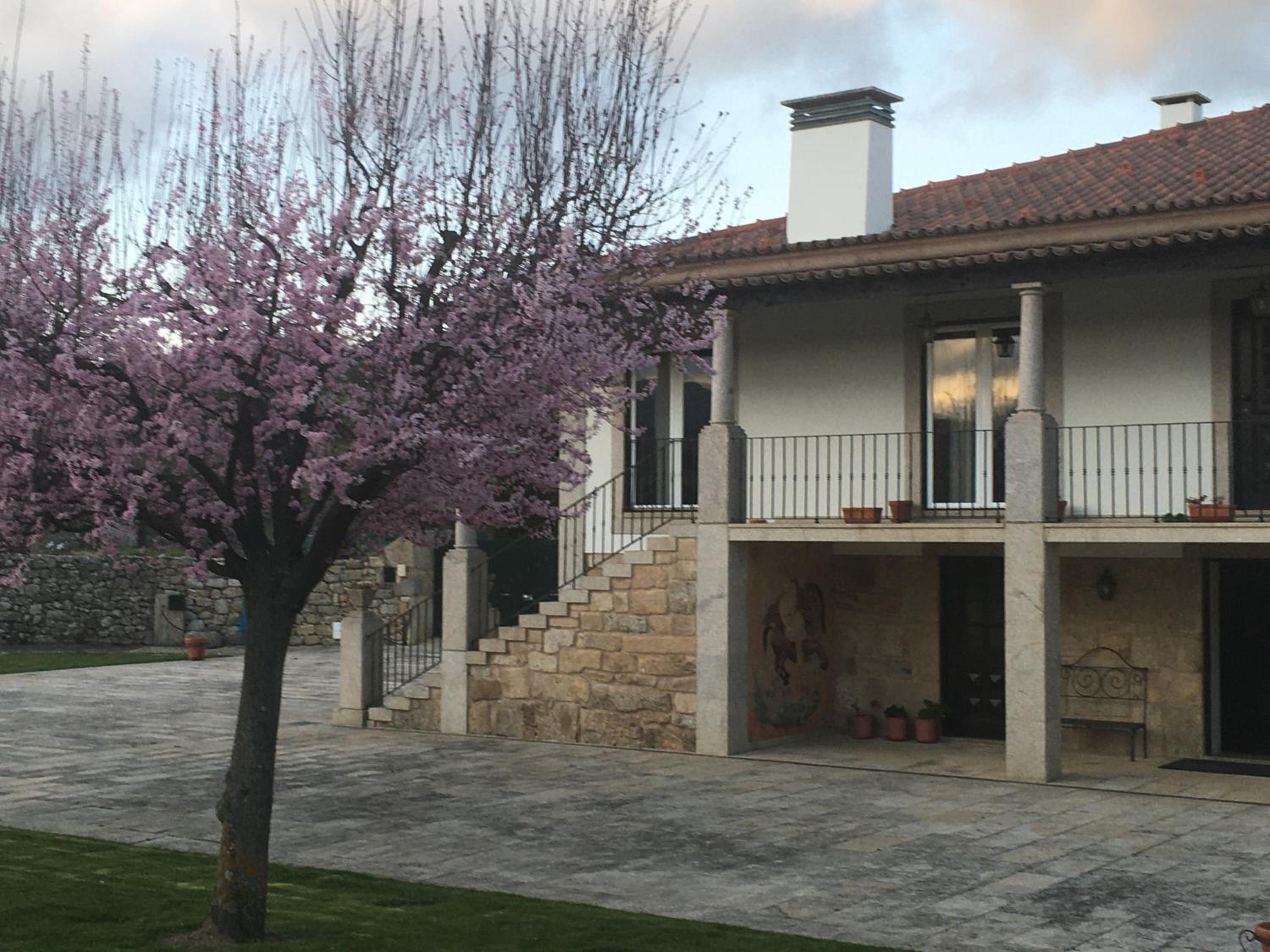 Casa do Rocio