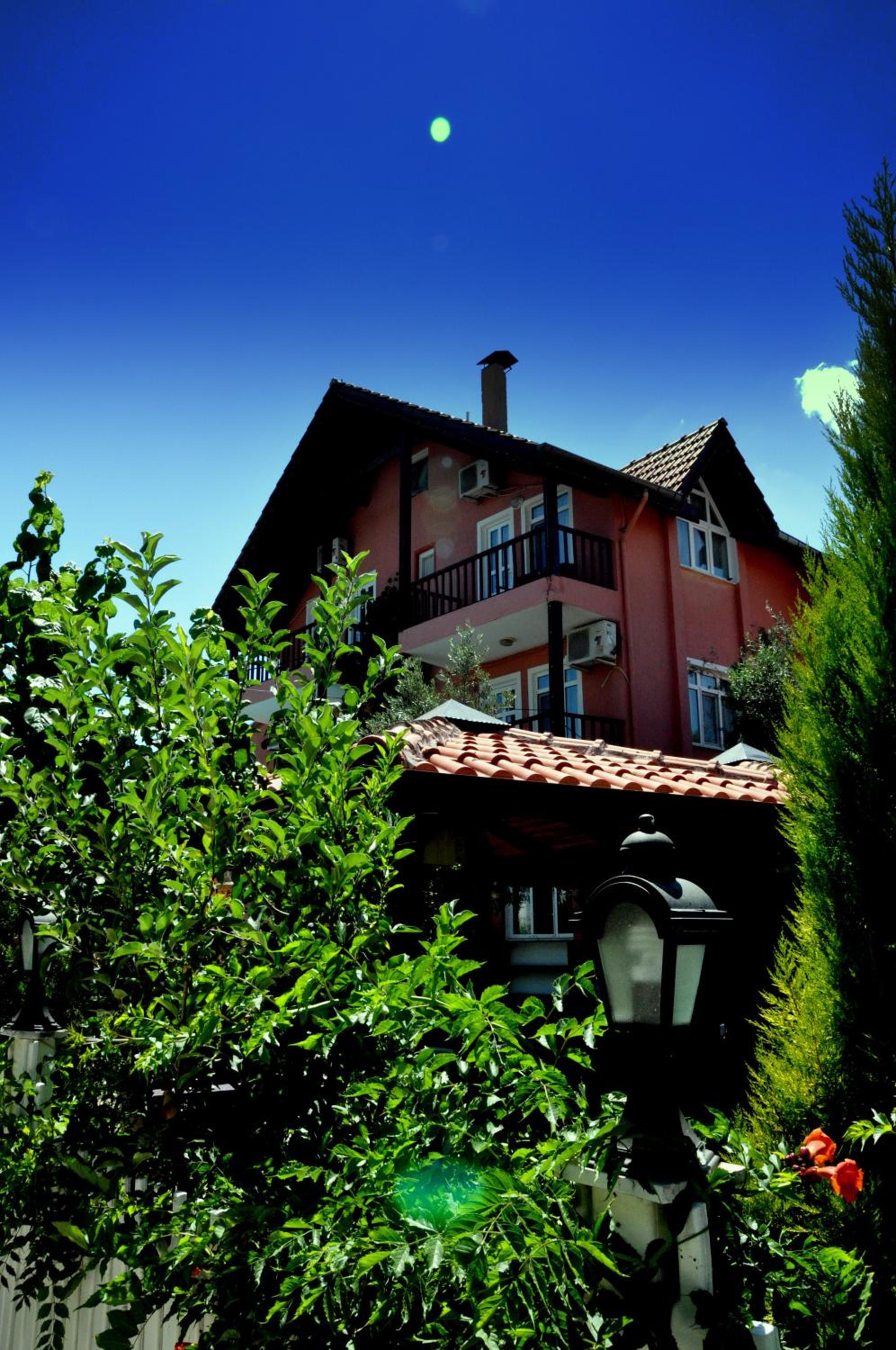 Photo 46