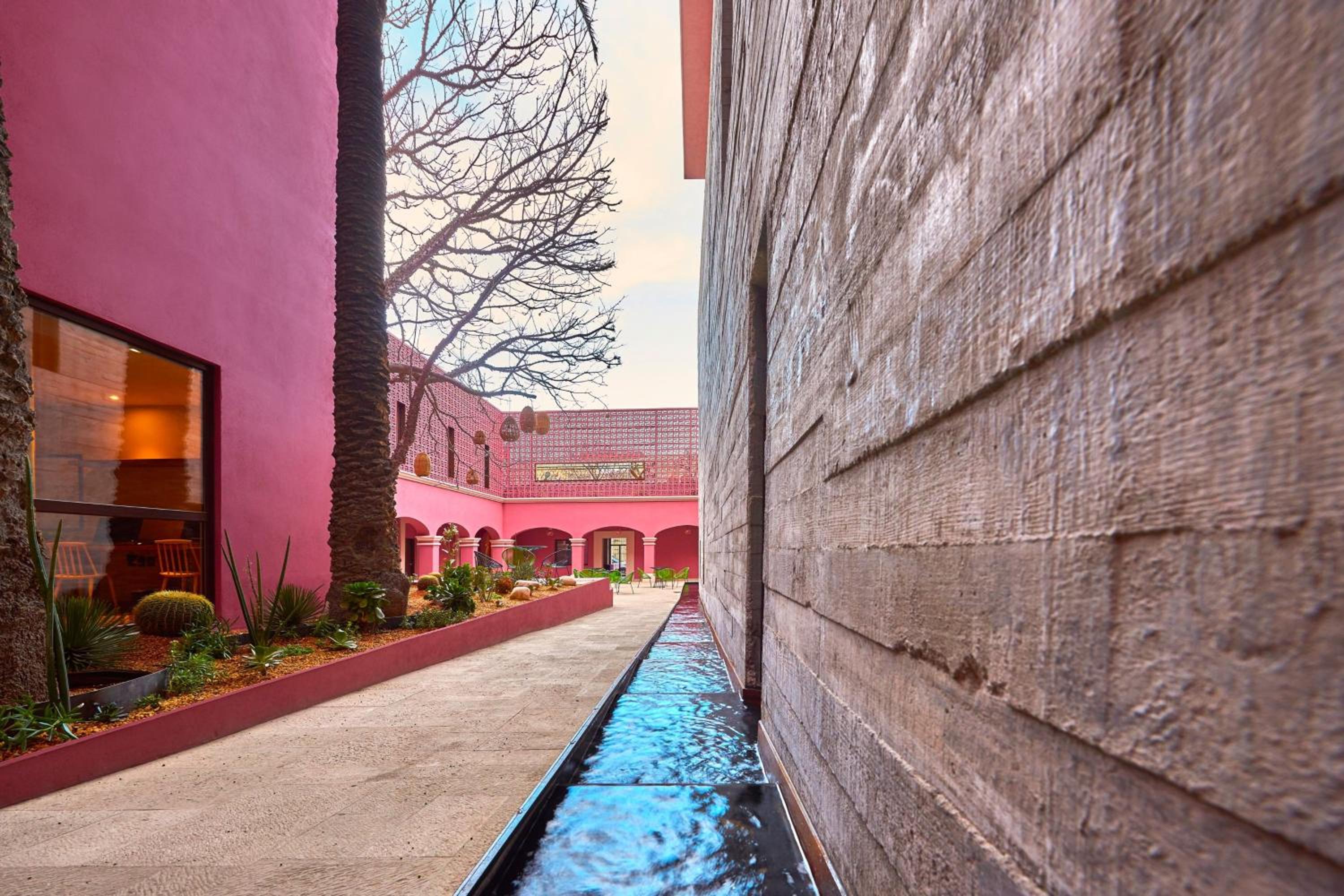 City Centro by Marriott Oaxaca - Property Image 45