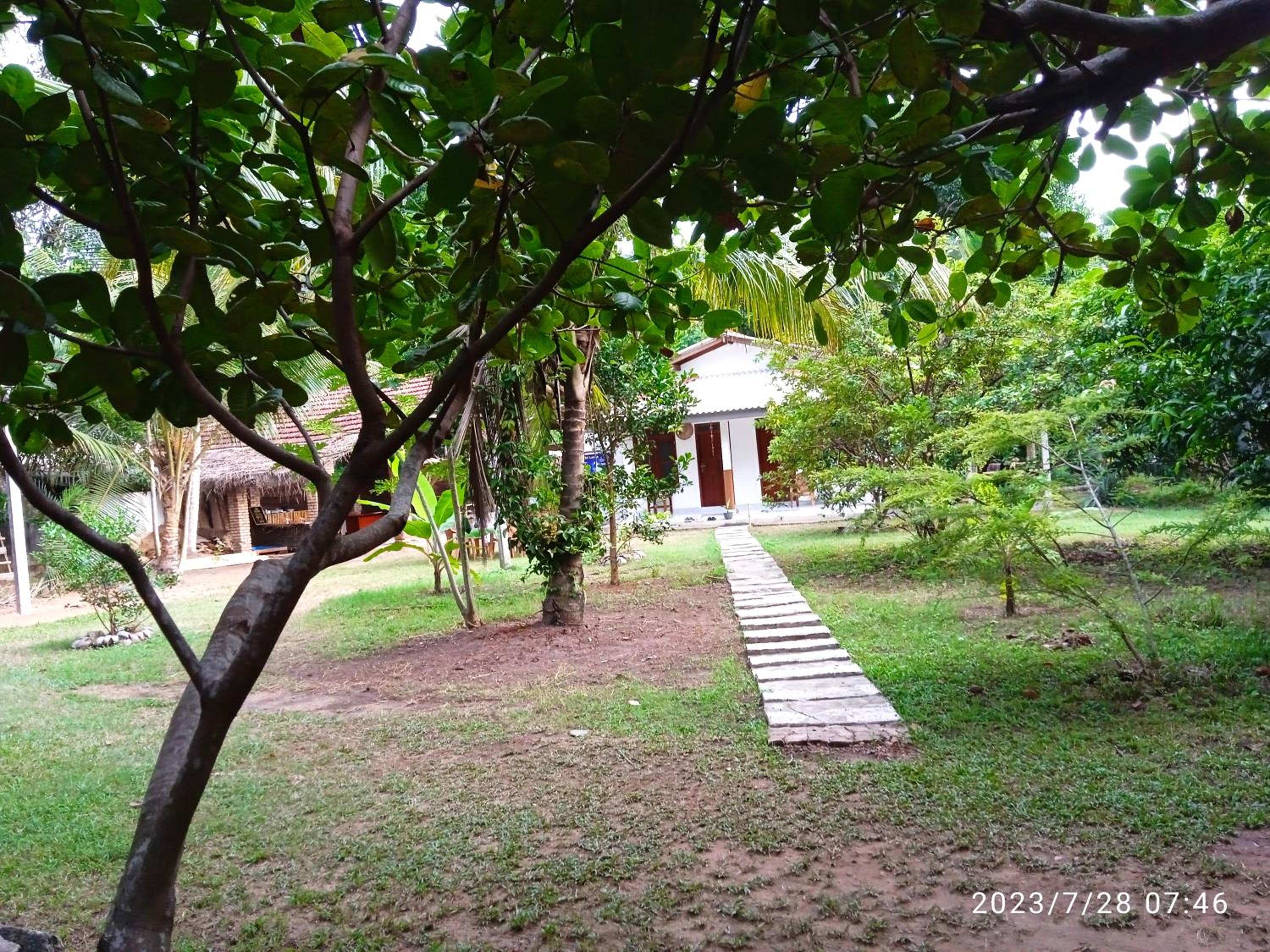 Photo 9