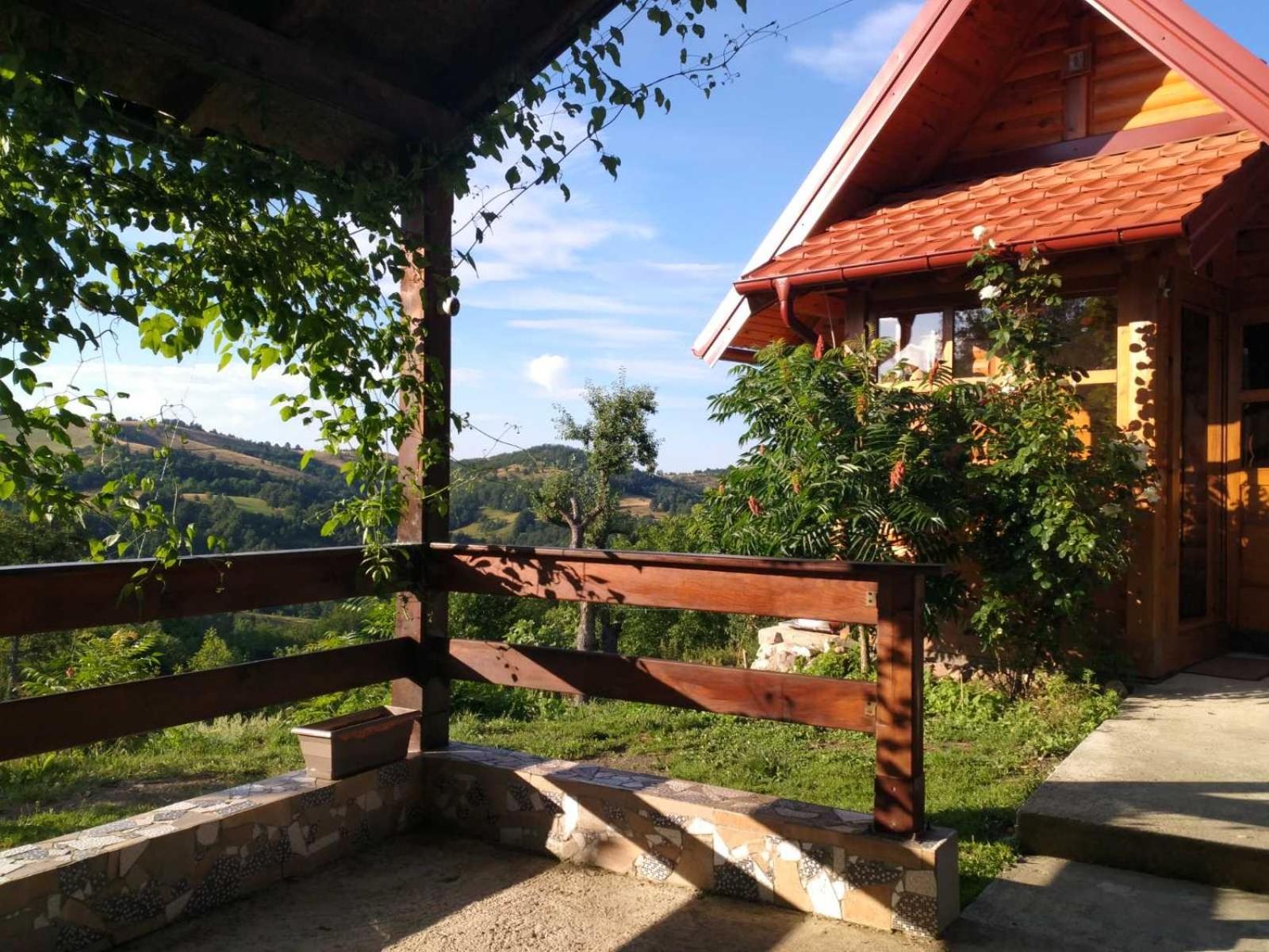 Brvnara Ruska sauna view 2