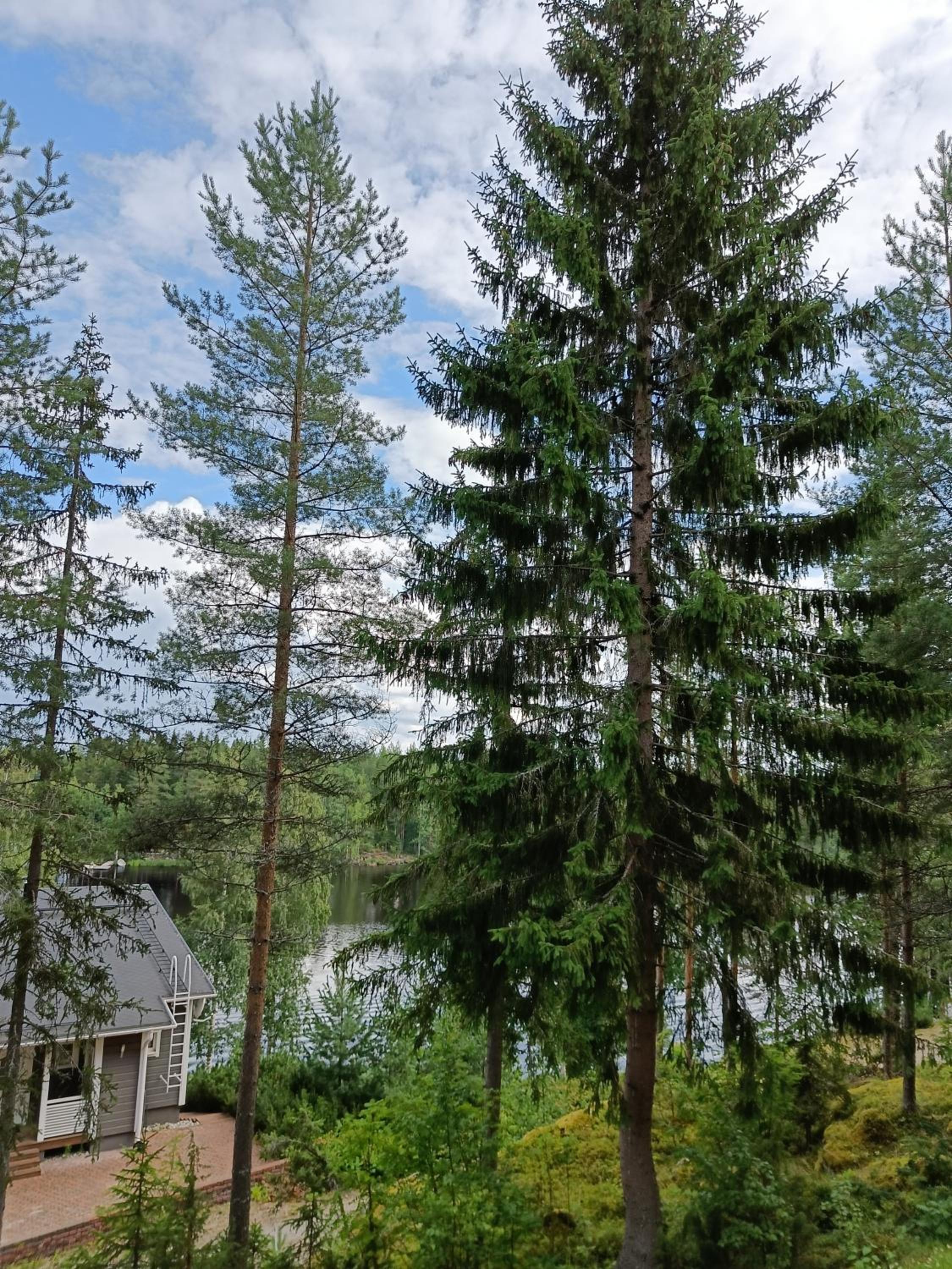 VILLA OLGA