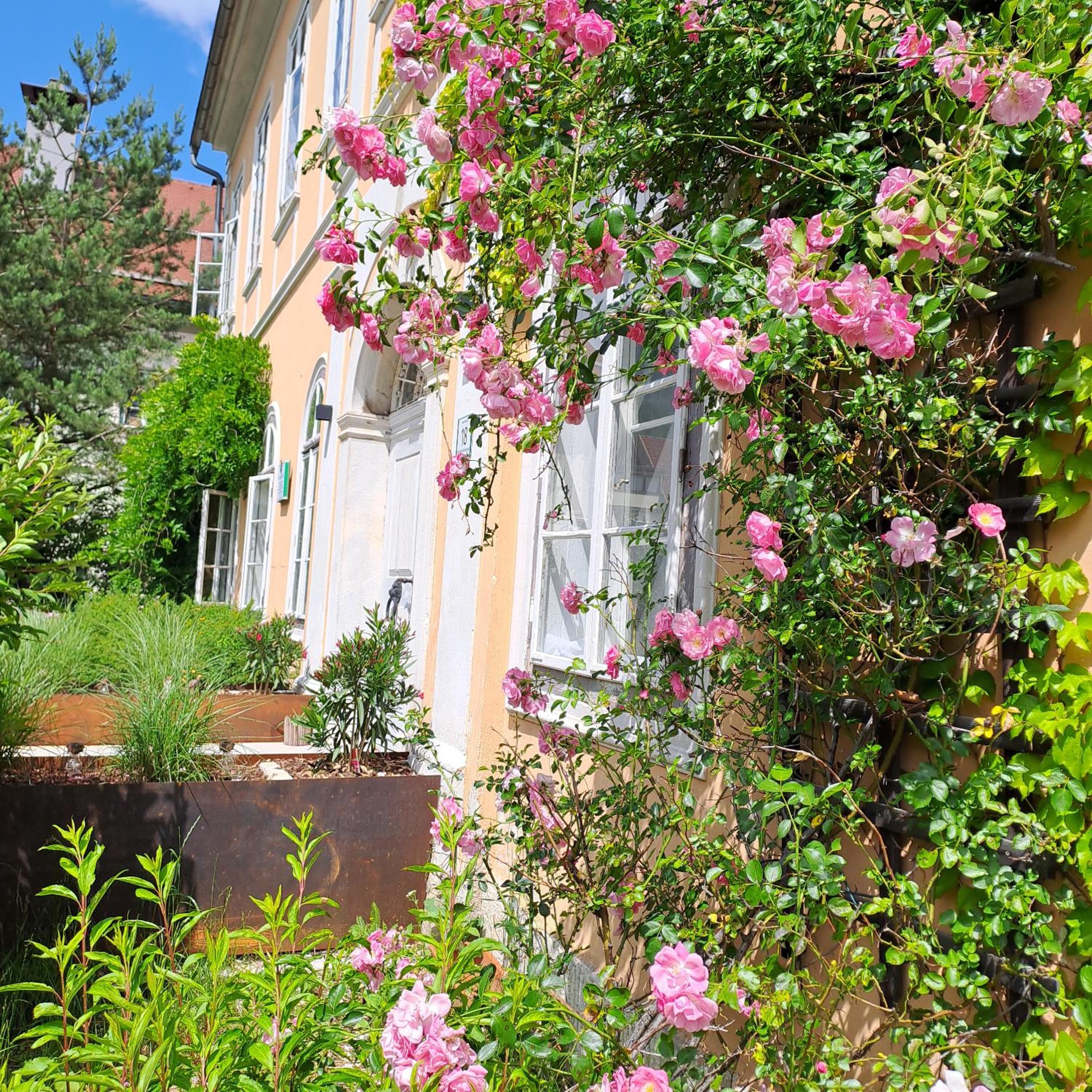 Apartments in Villa Crusca