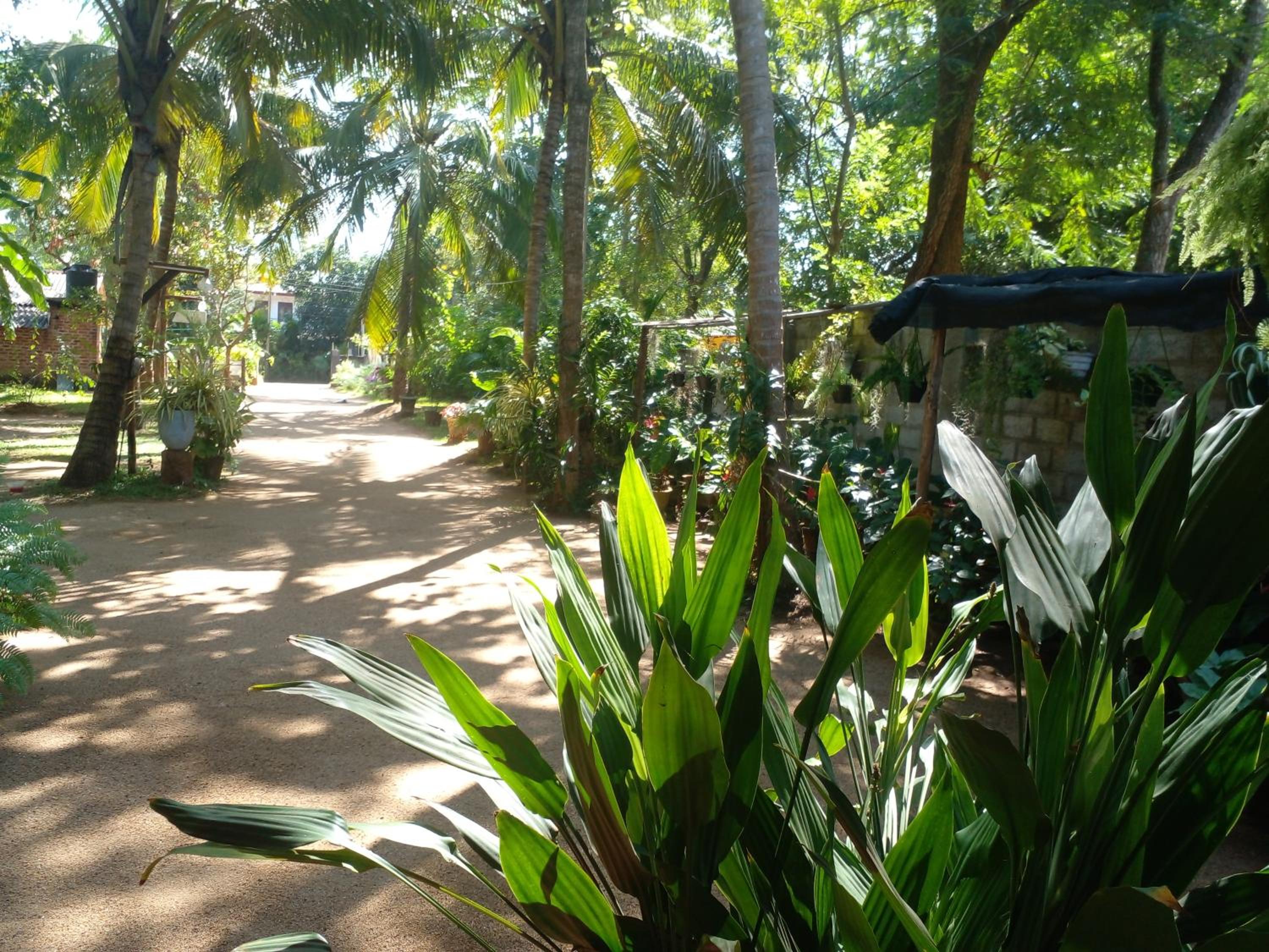 Ossa home stay
