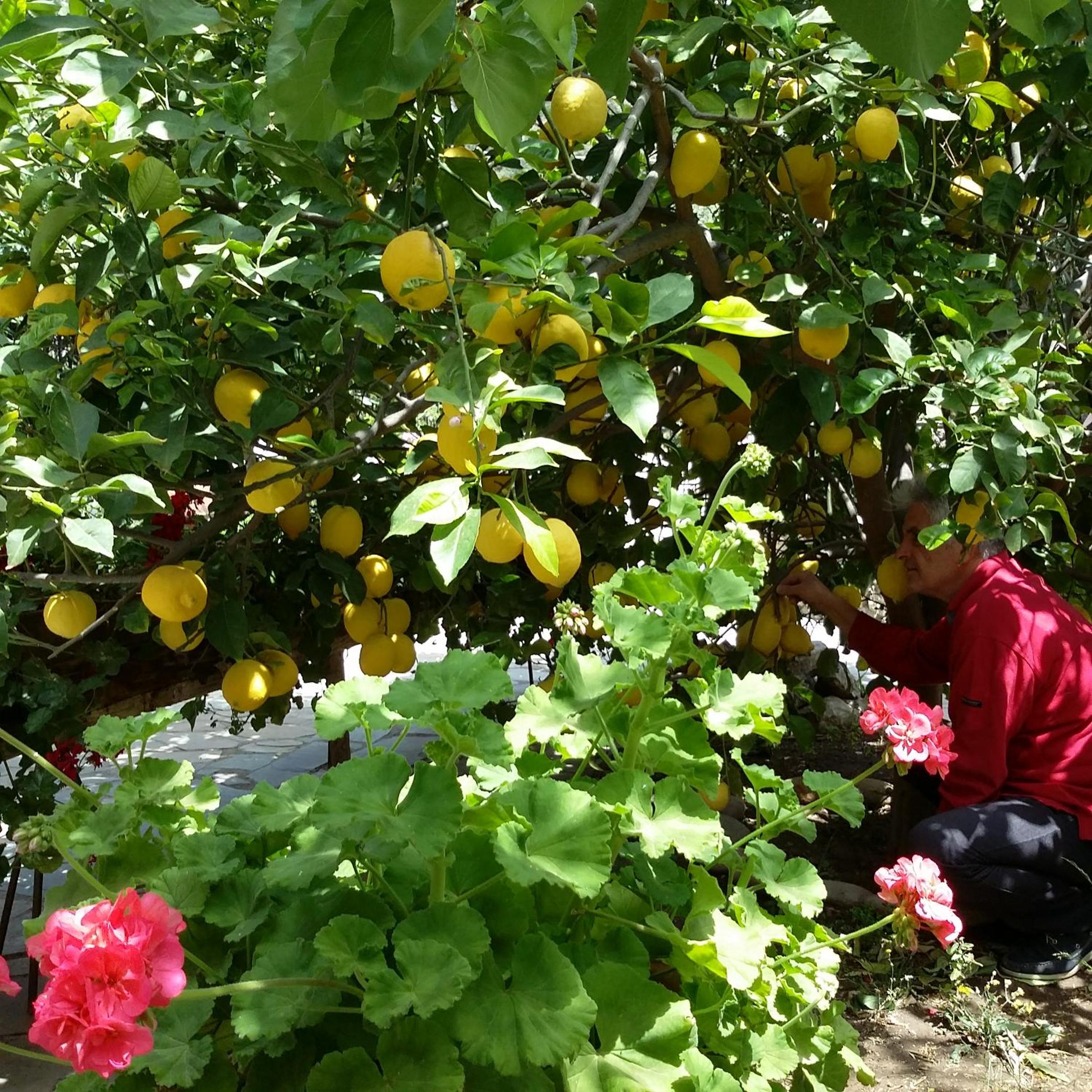 2bedrooms Cottage 1 photo 3