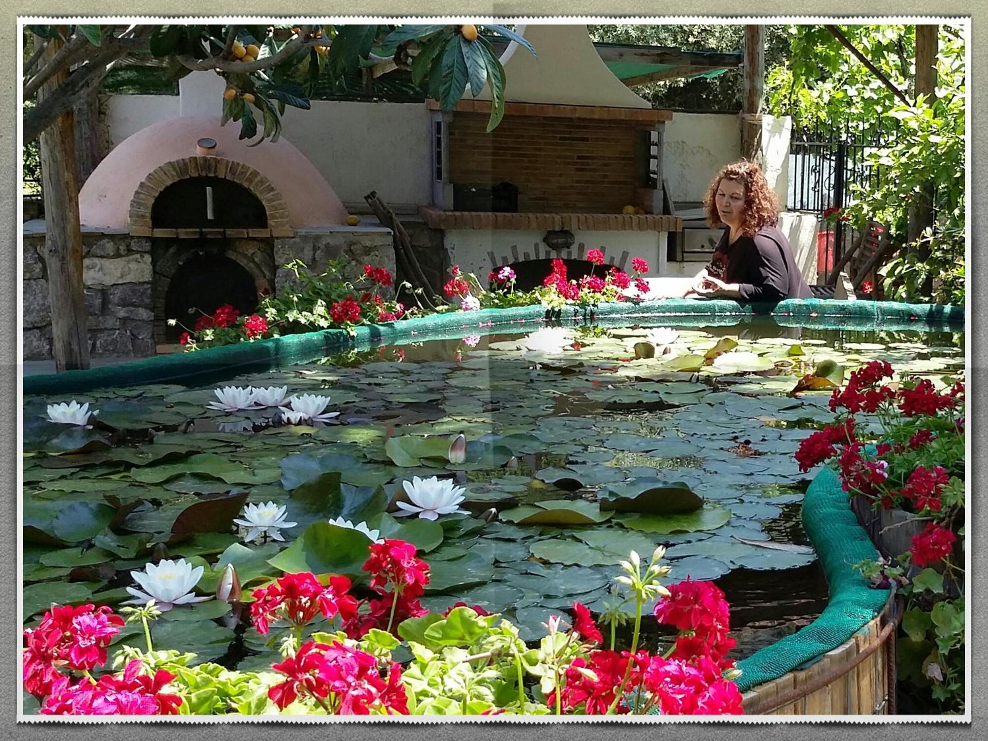 2bedrooms Cottage 1 photo 4