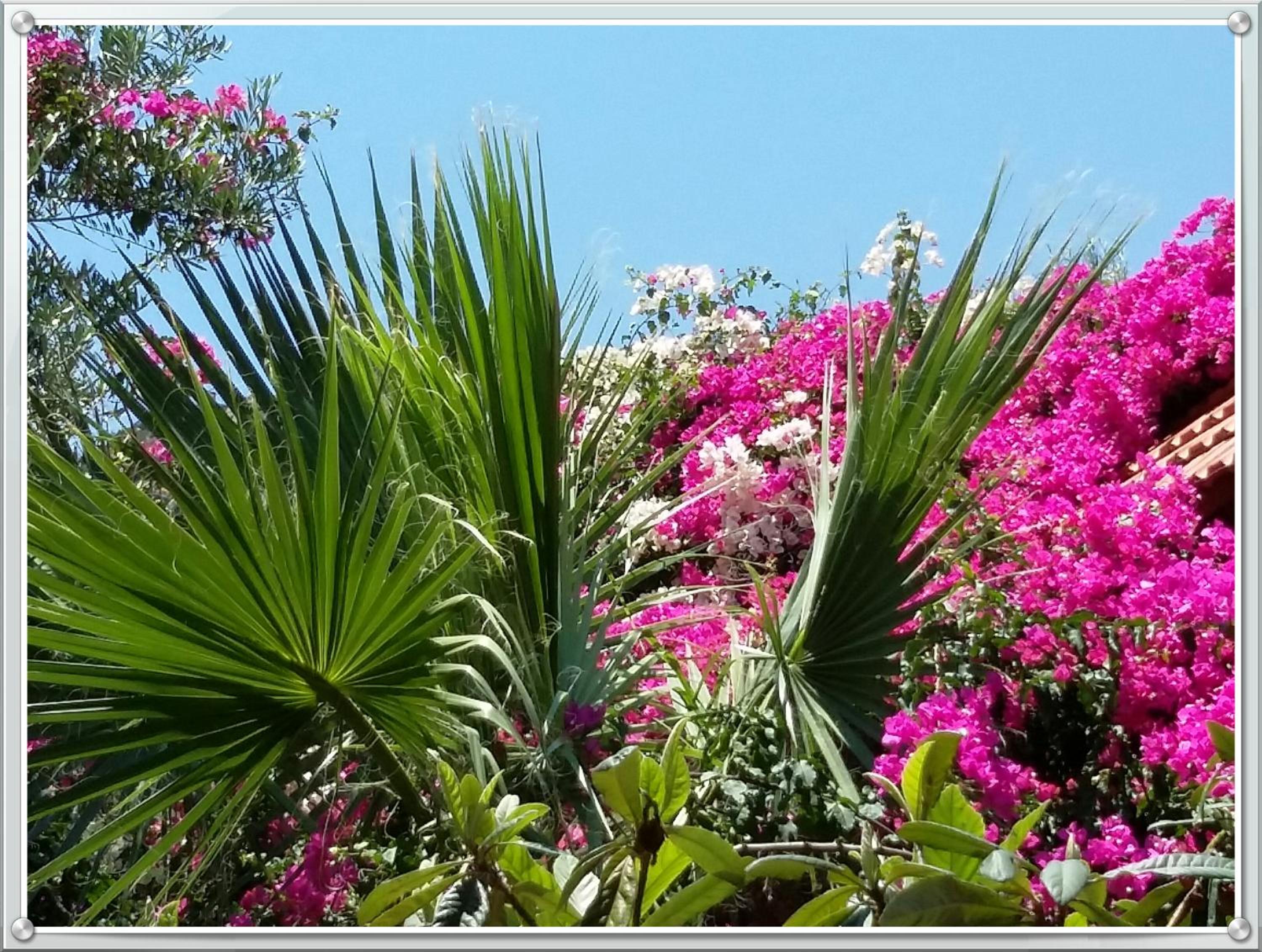 2bedrooms Cottage 1 photo 5