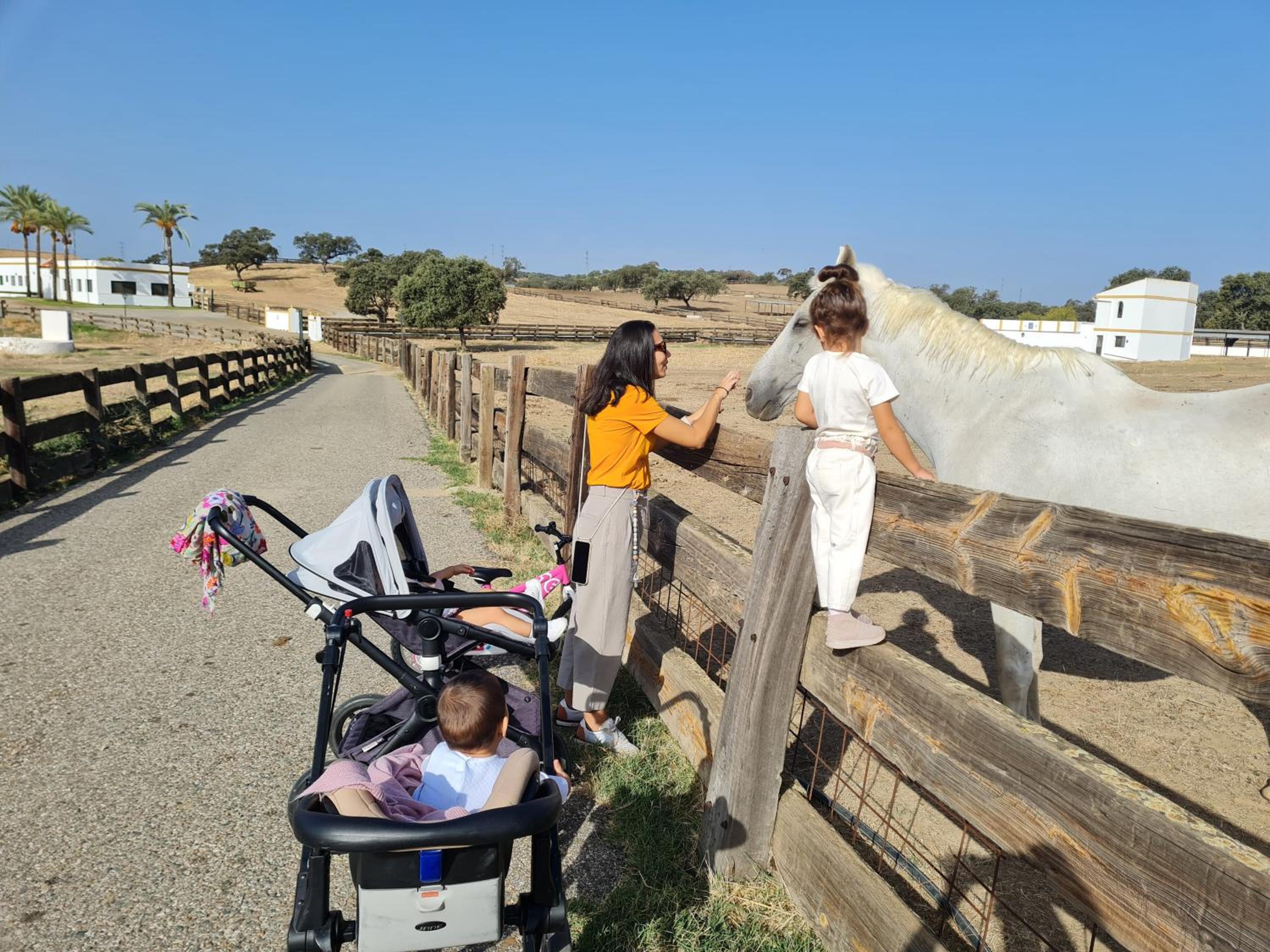 Alojamiento Rural Finca Barral