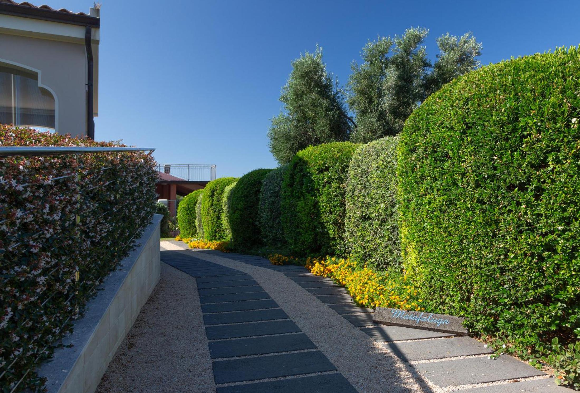 Photo 42