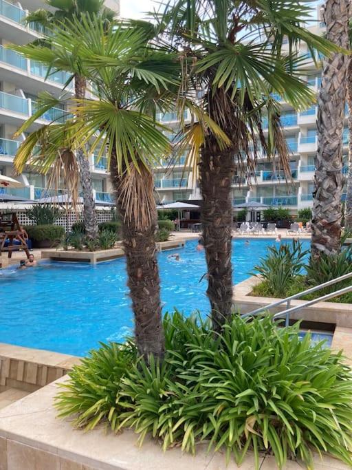 Apartament familiar amb vistes al mar!