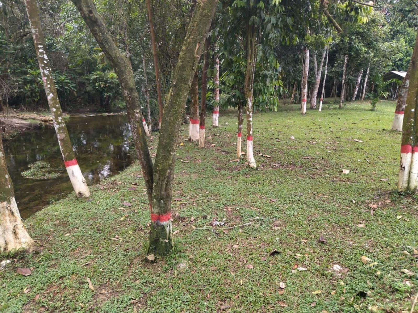 Finca El Remanso