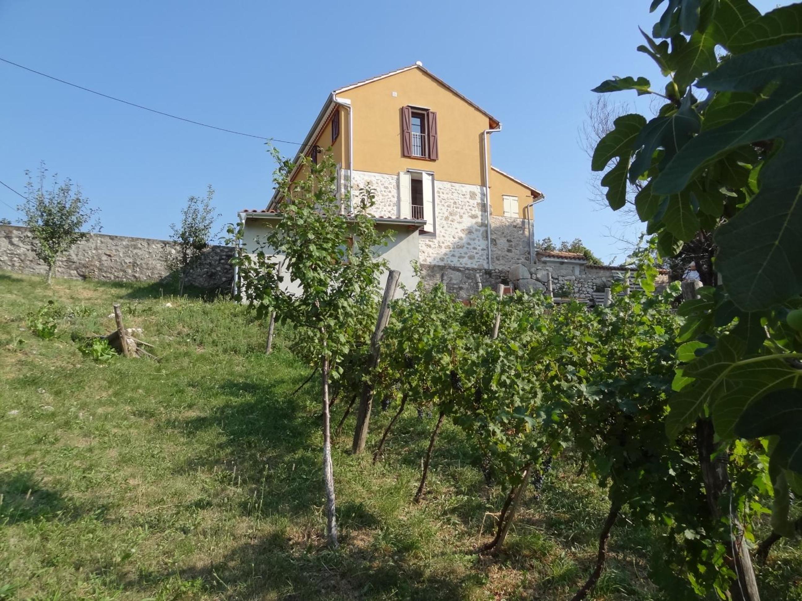Photo 23