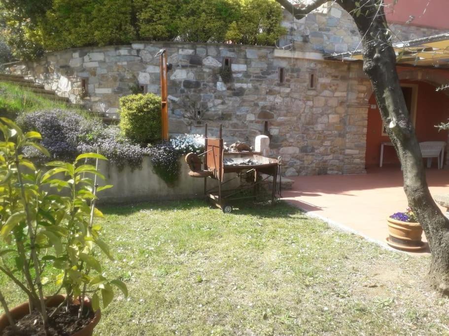 Photo 20