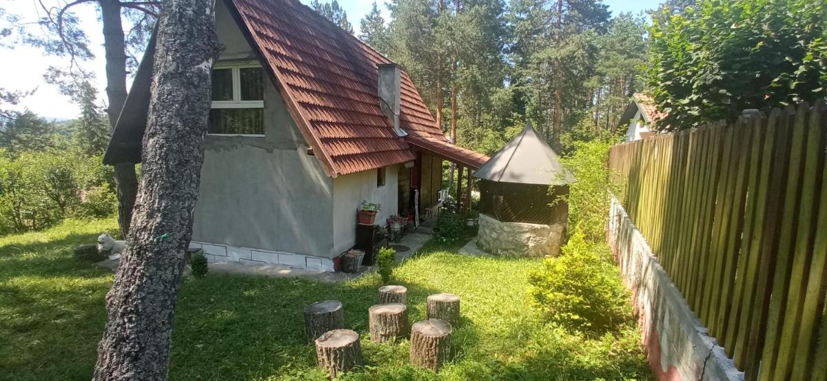 Villa Zelen bor view 2