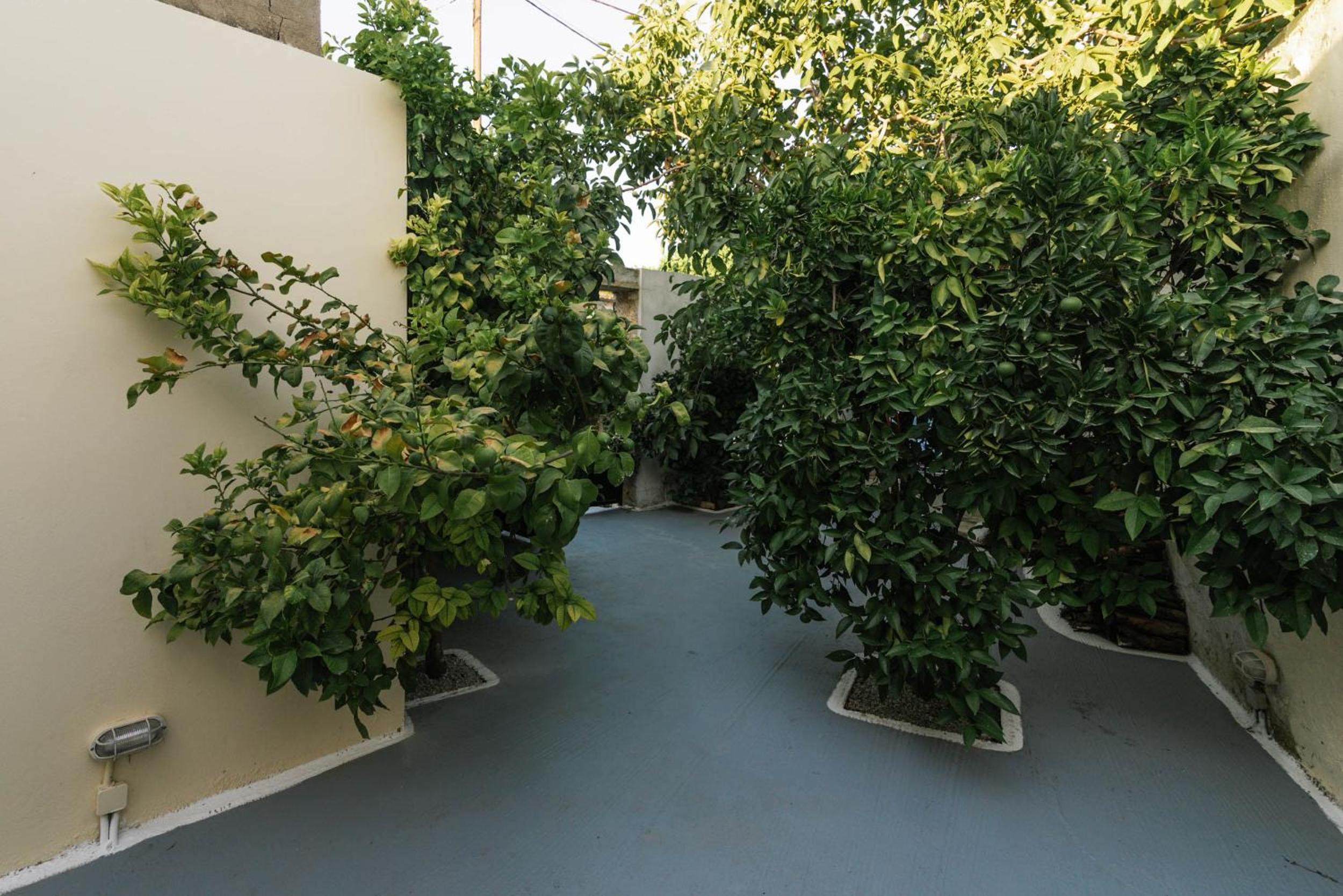 Apironero Plouti House