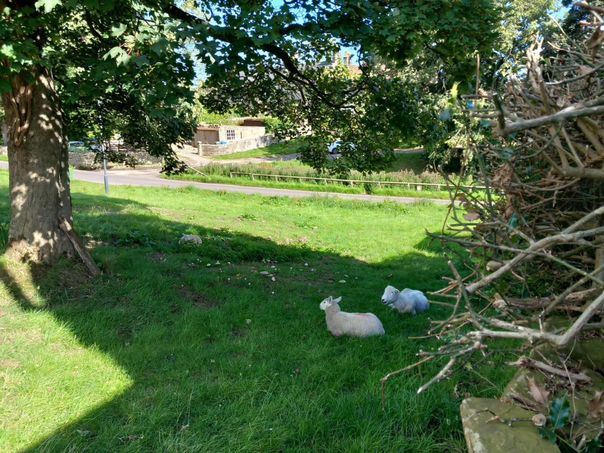 Littlebeck