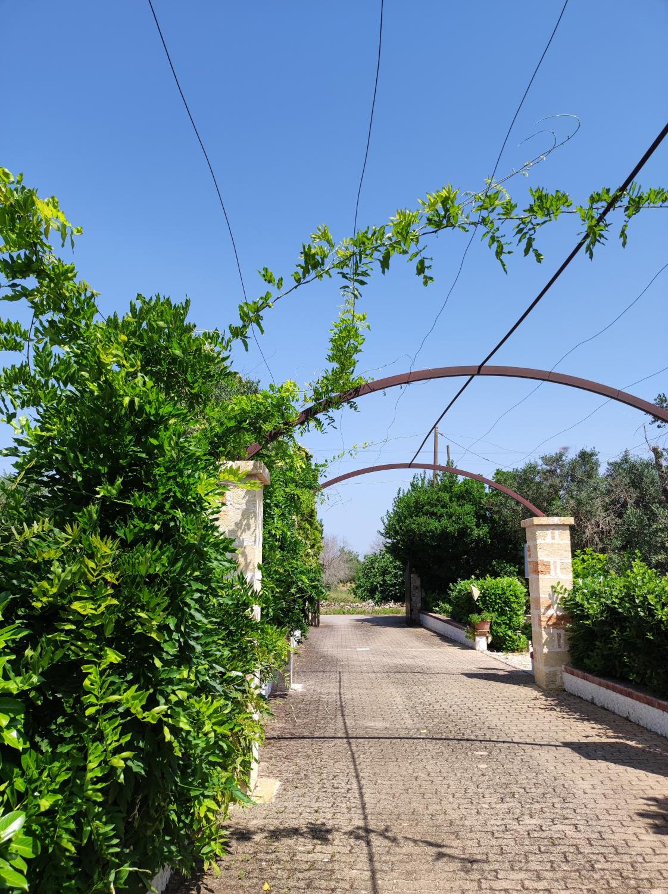 Contrada Macchia B&B
