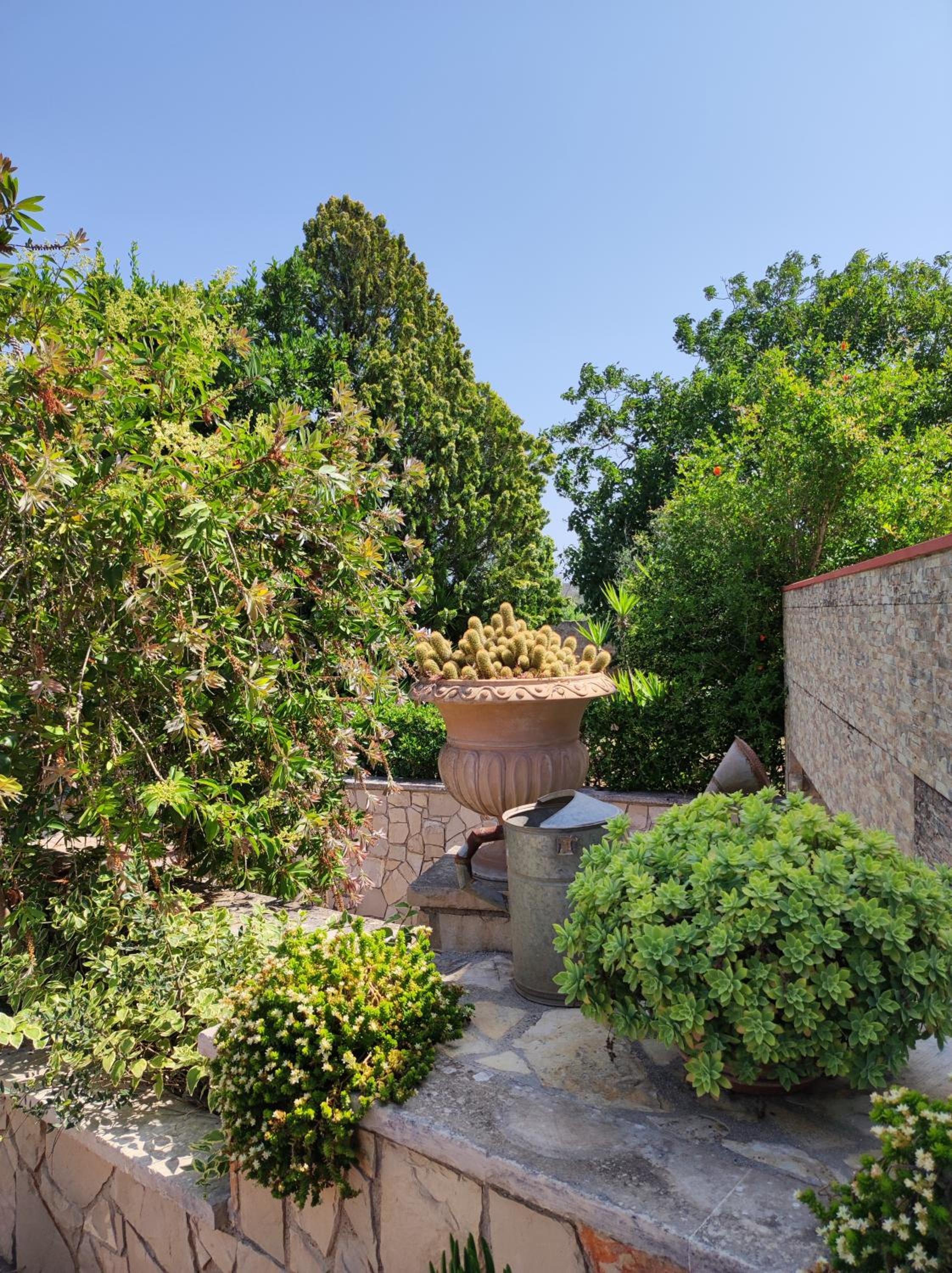 Contrada Macchia B&B