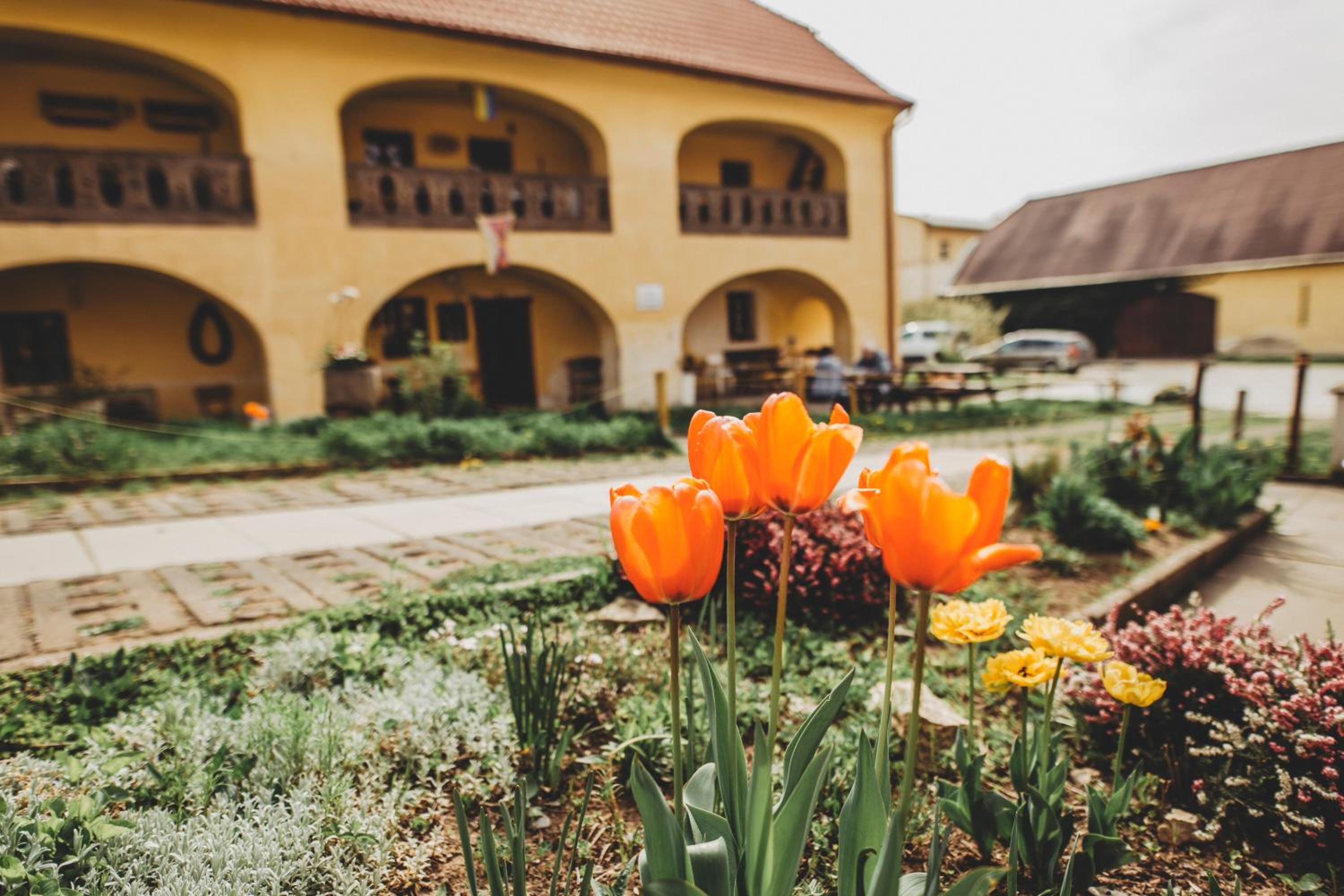 Boutique Apartmán Speicher