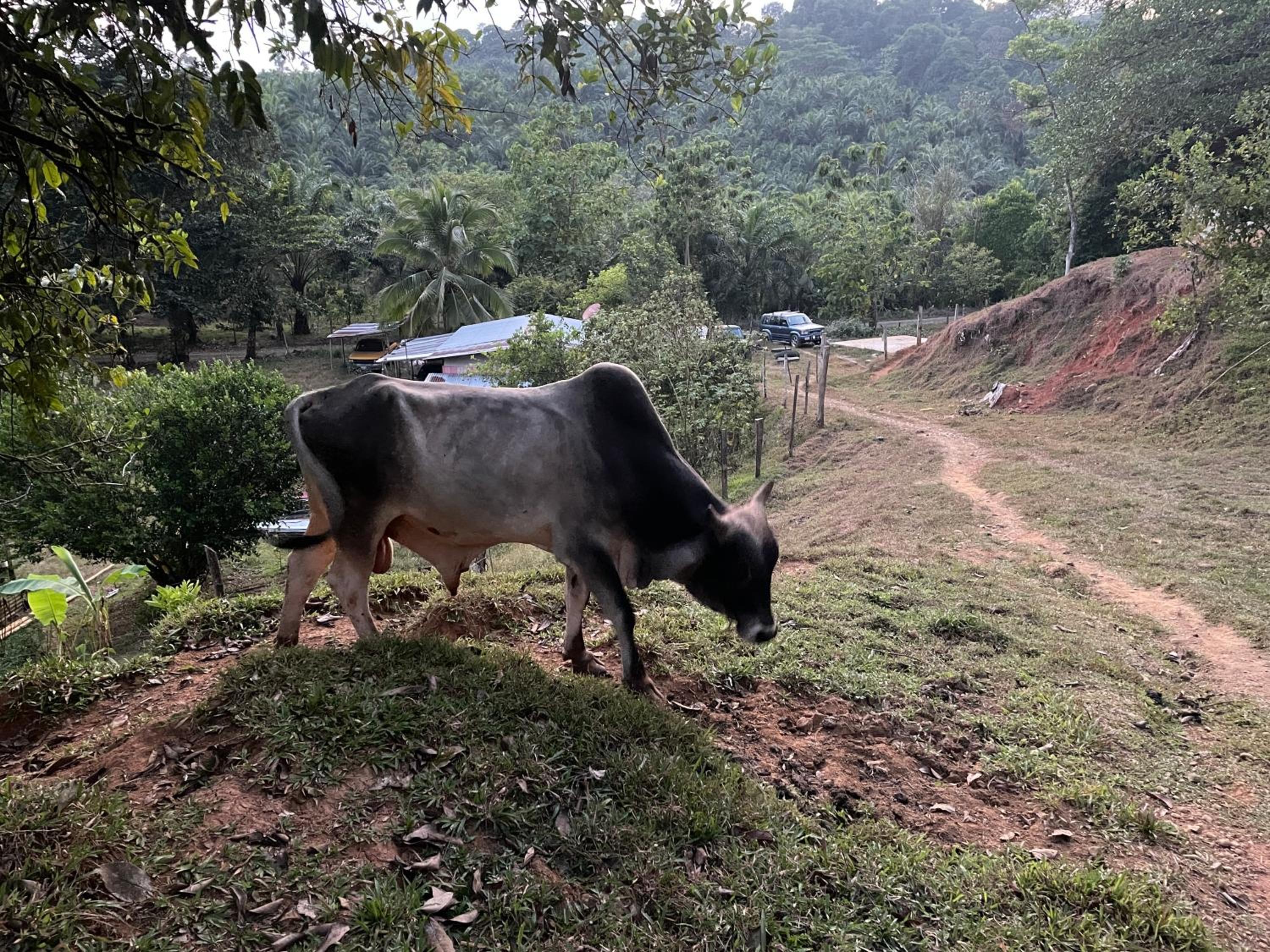 Casa Paraiso Parrita