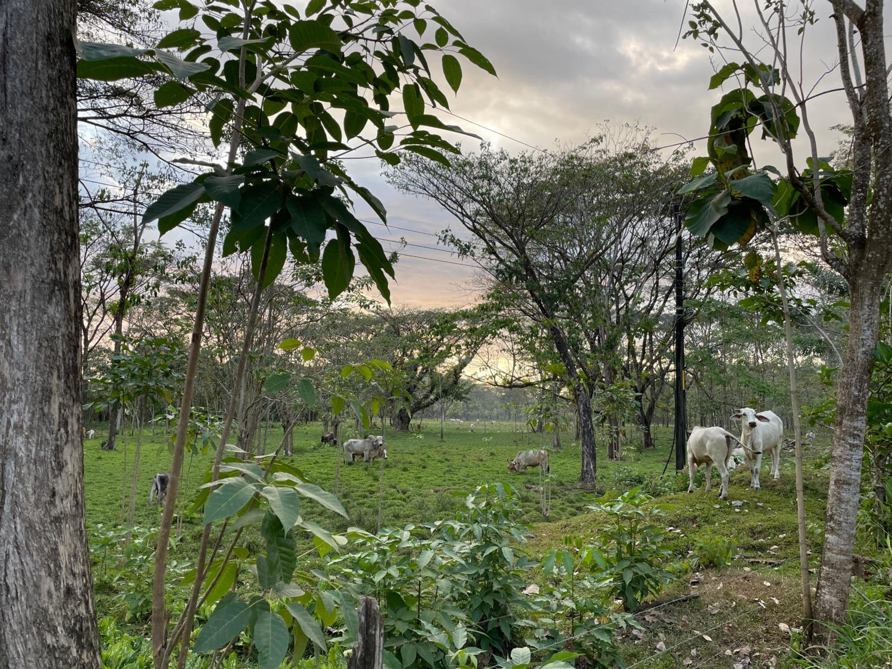 Casa Paraiso Parrita