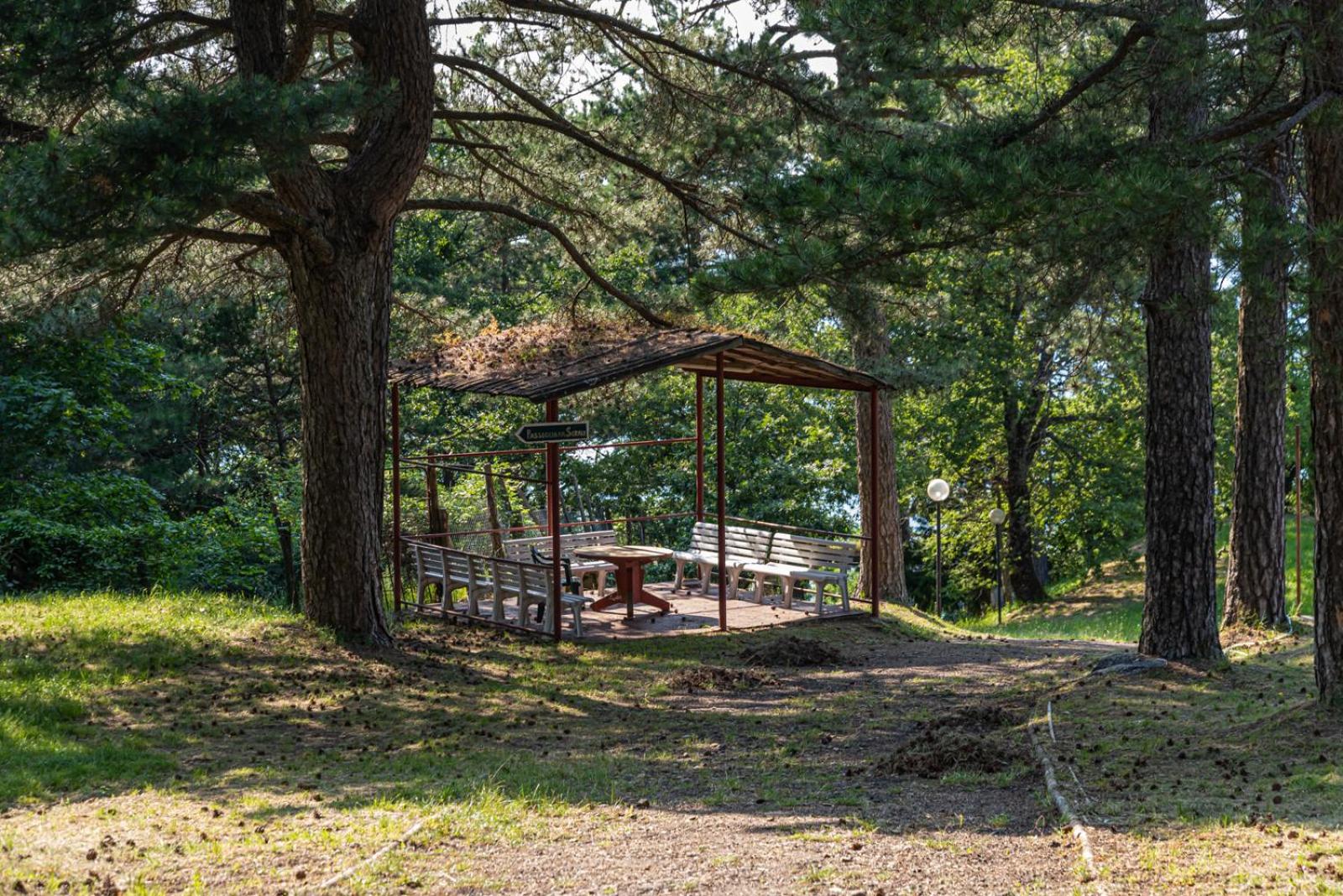 outdoor BBQ area