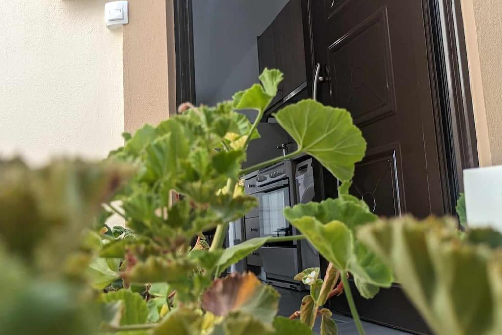 Skordalos Maisonette - Crete Cozy & Bright Nest