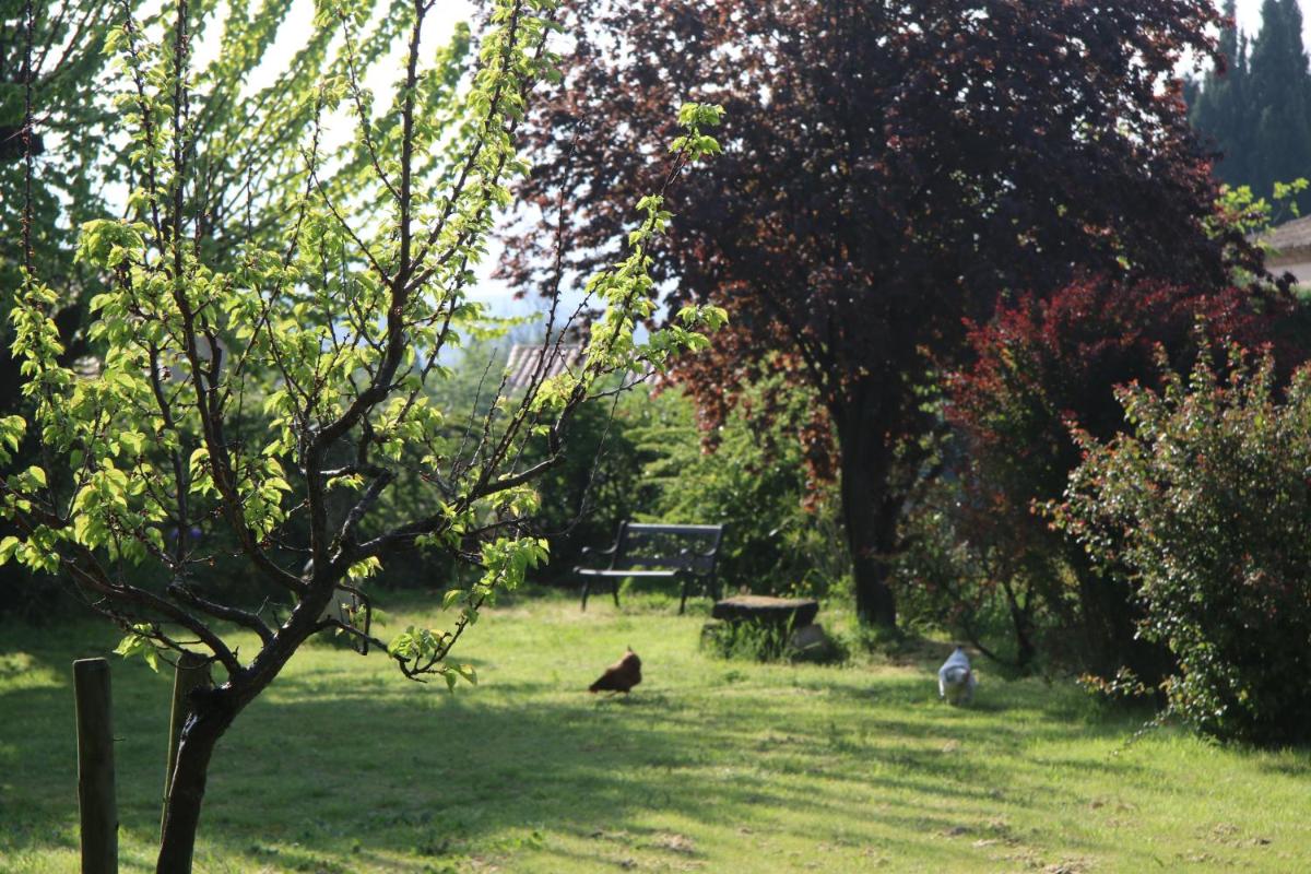 Photo 28