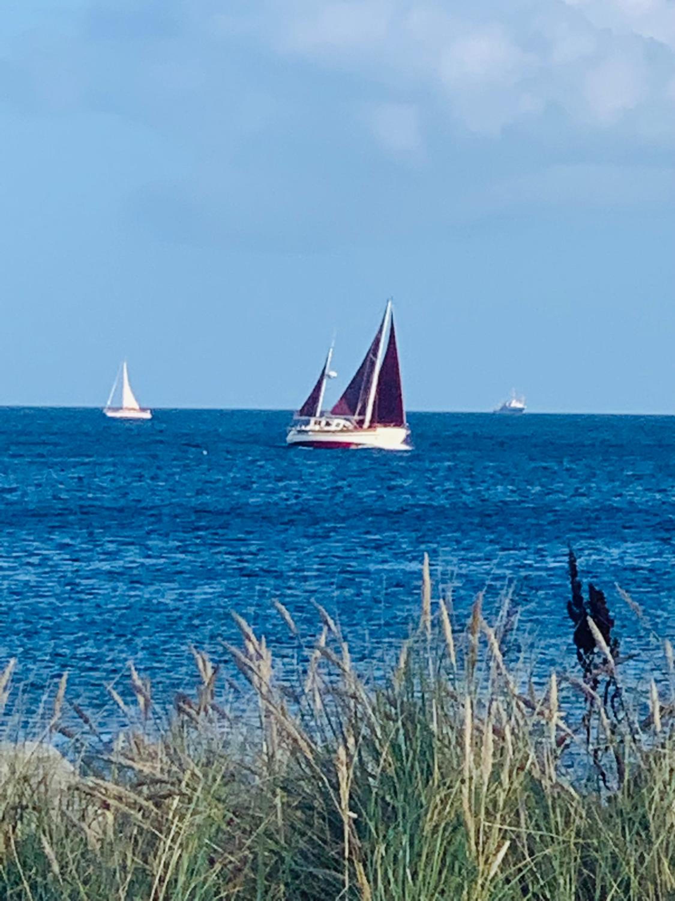 SeeLund - Meeresrauschen lauschen - ruhiges sonniges Apartment mit Garten und Terrasse nahe Strand und Ostsee