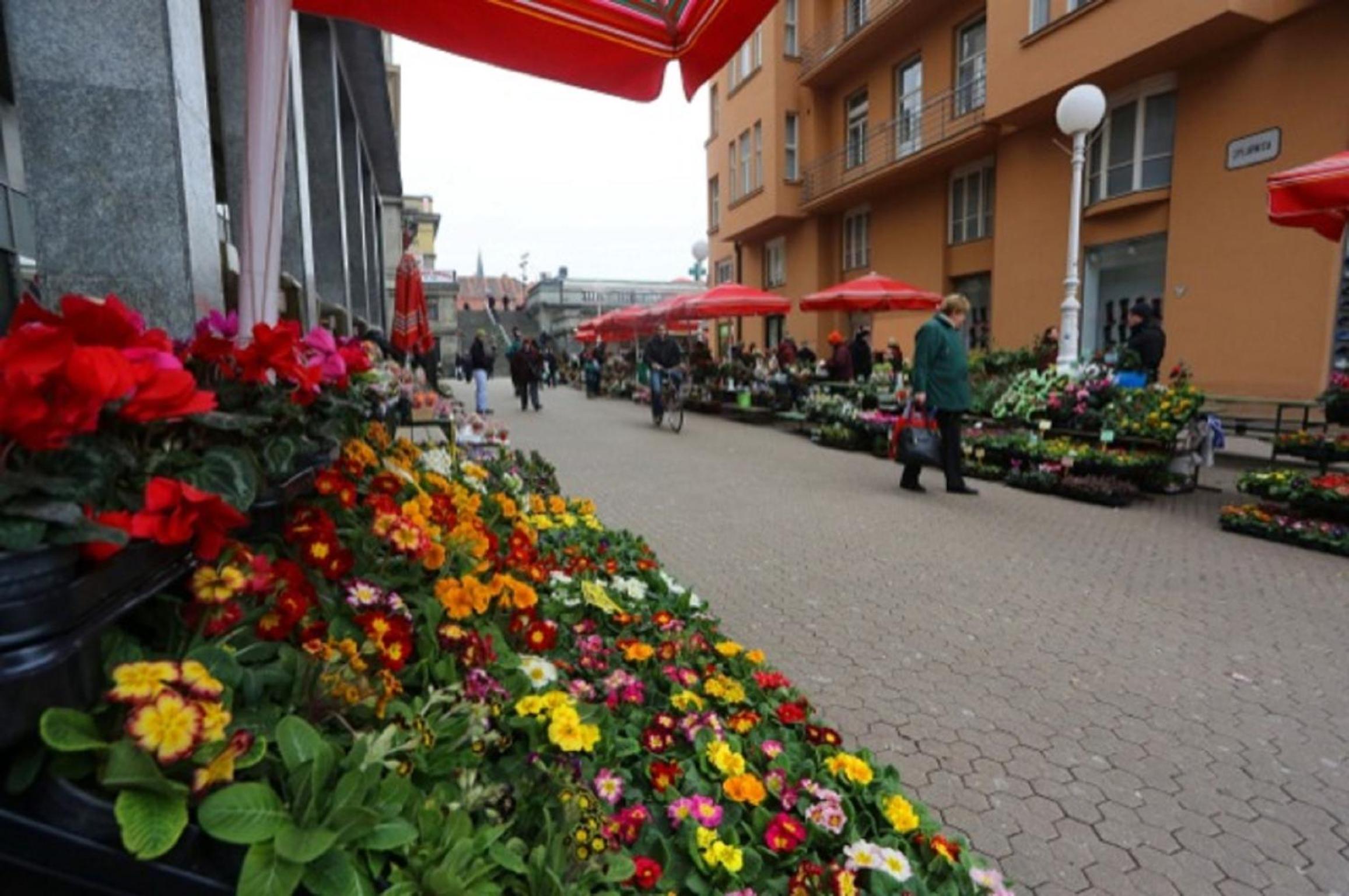 Main Square Apartment