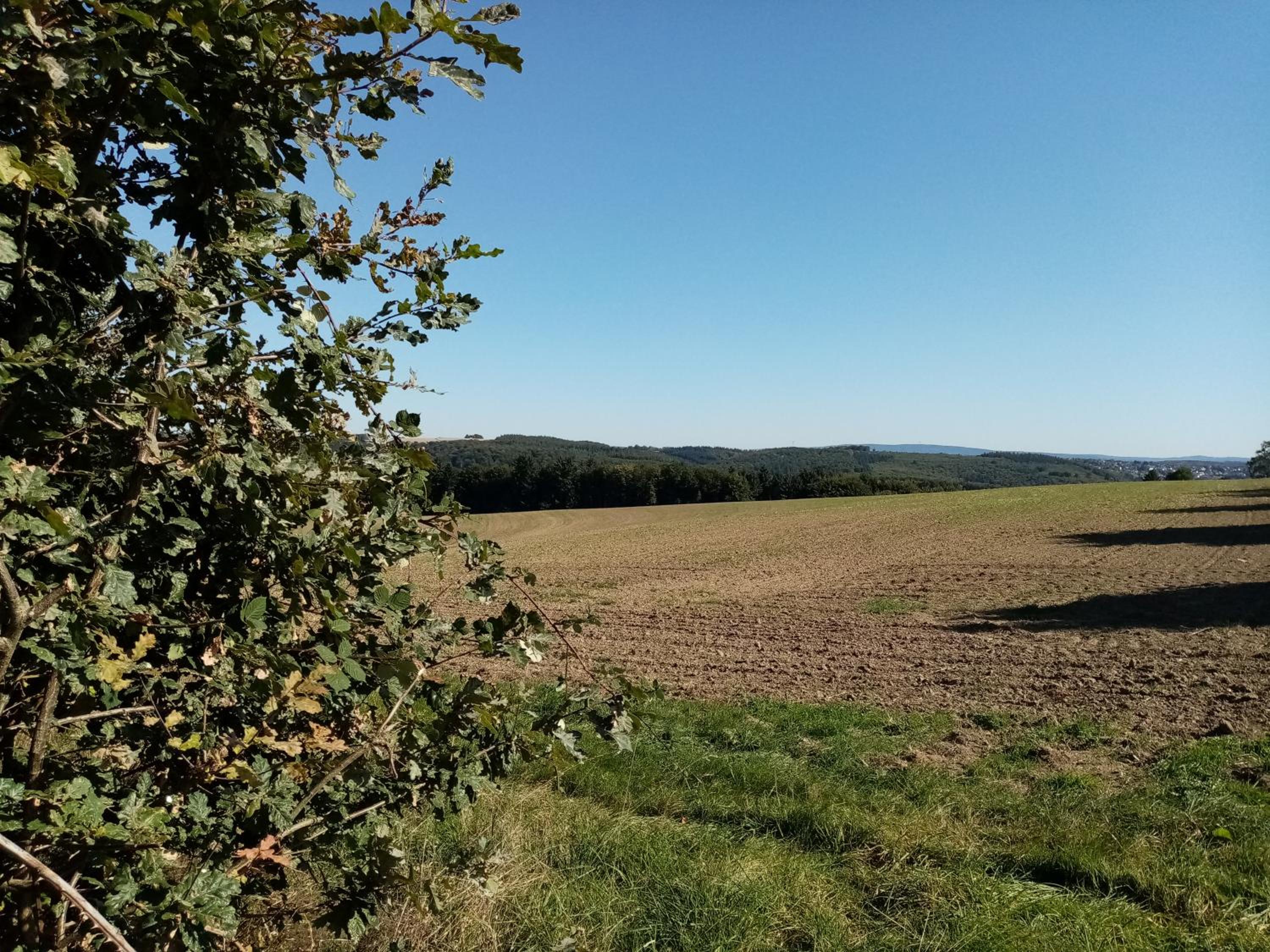 Pension Hubertus en Oberraden