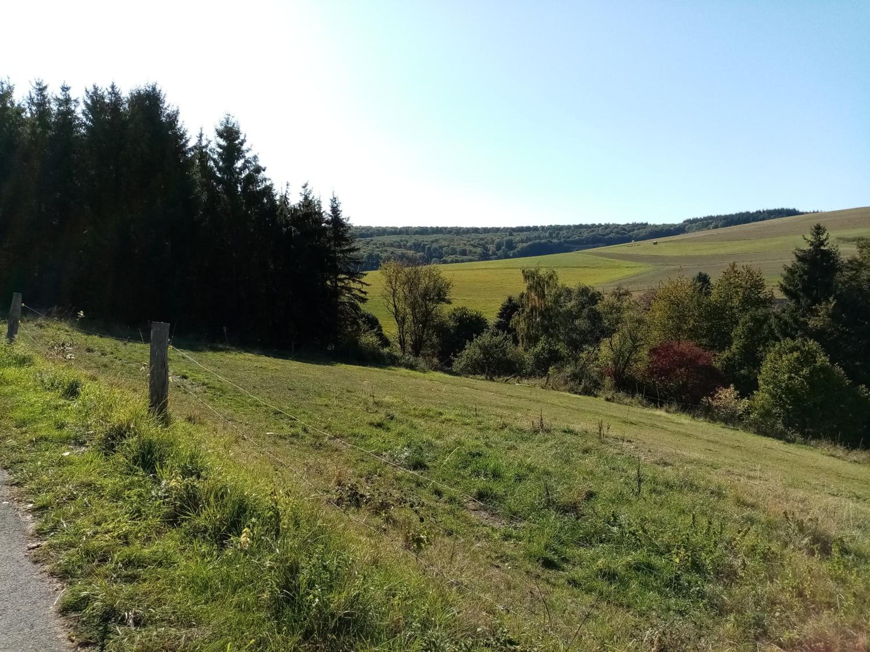Pension Hubertus en Oberraden