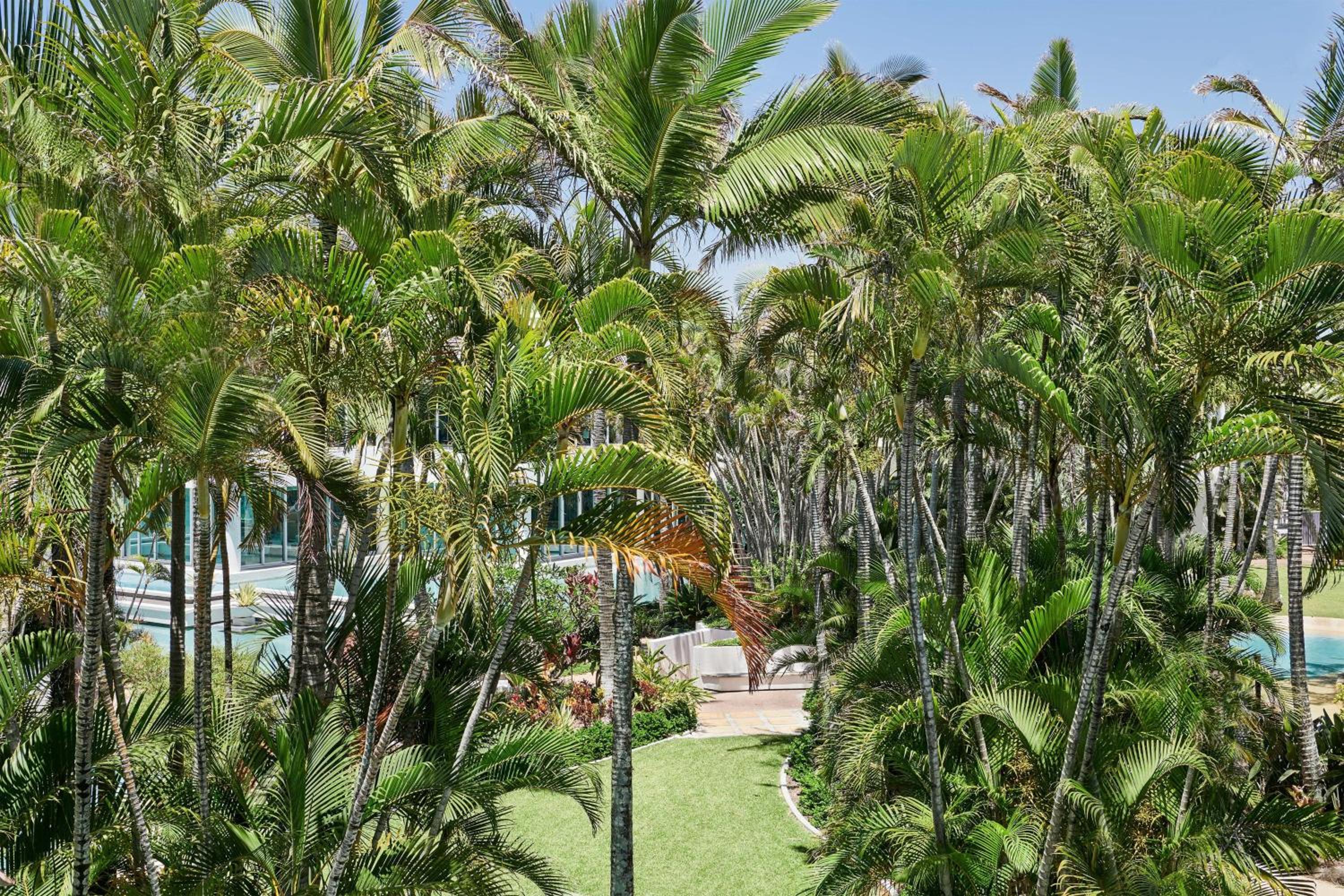 Foto 66 de 179 de Sheraton Grand Mirage Resort Gold Coast