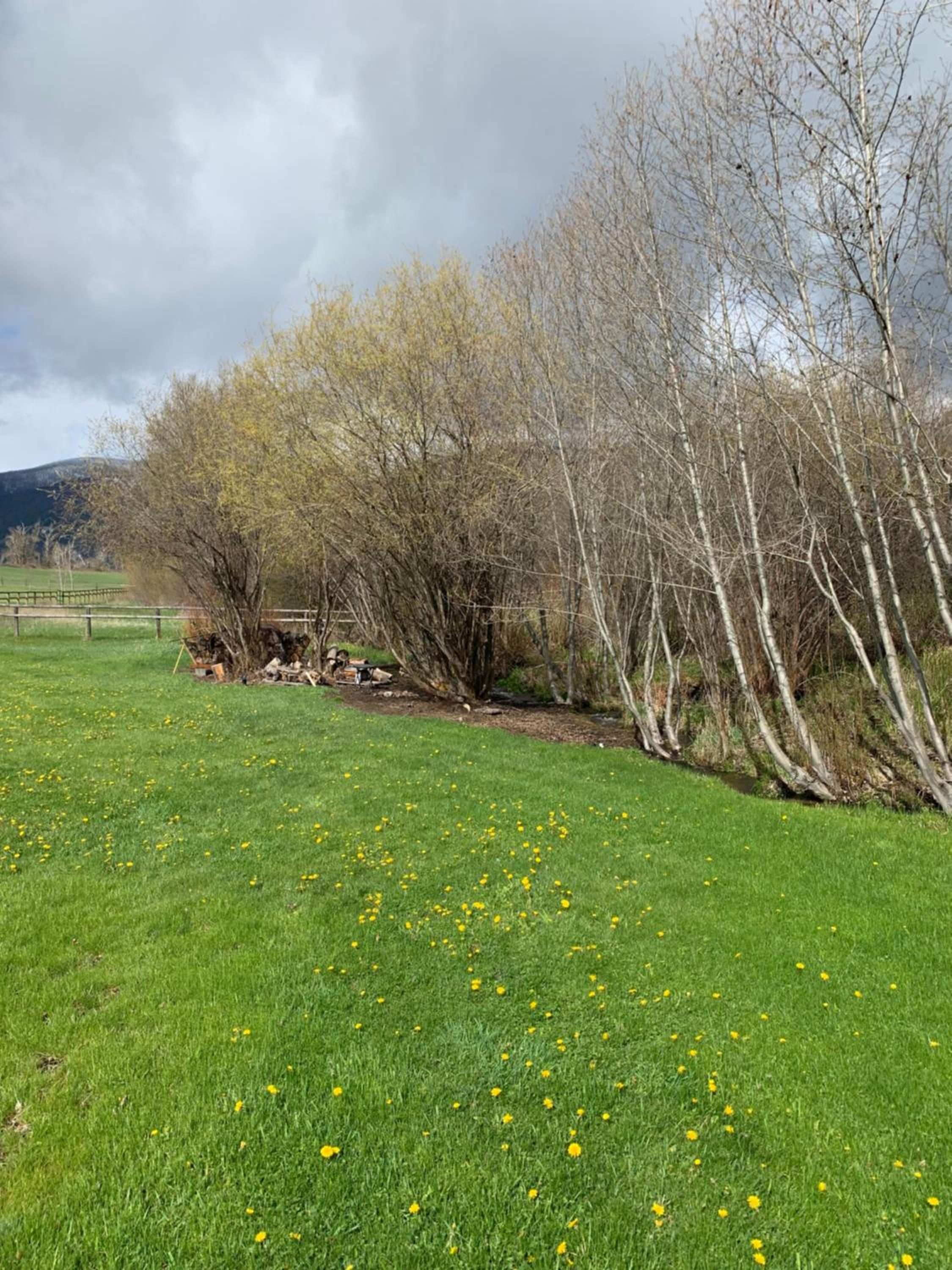 Creekside Tranquility, Spacious Home & Property