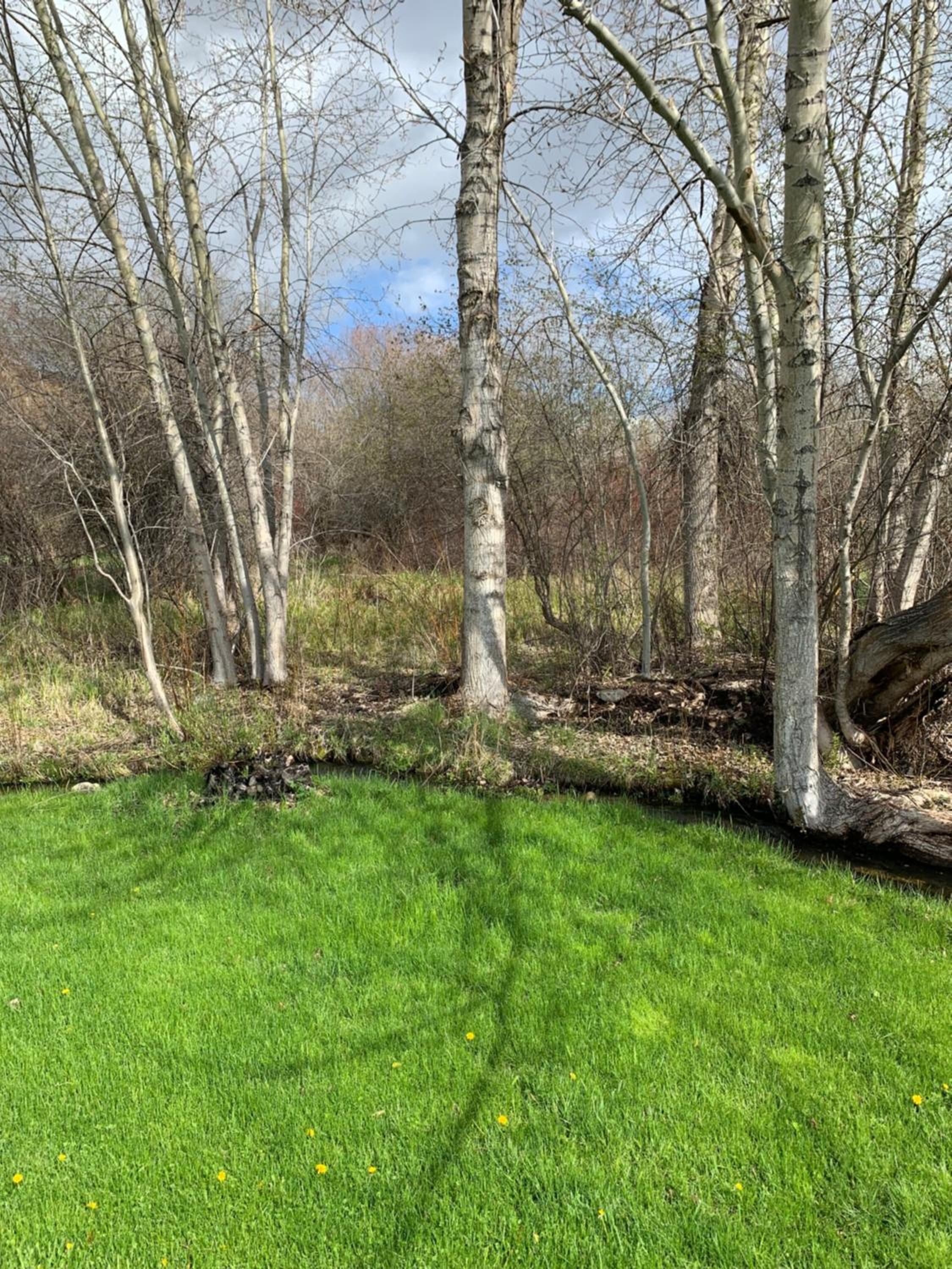 Creekside Tranquility, Spacious Home & Property