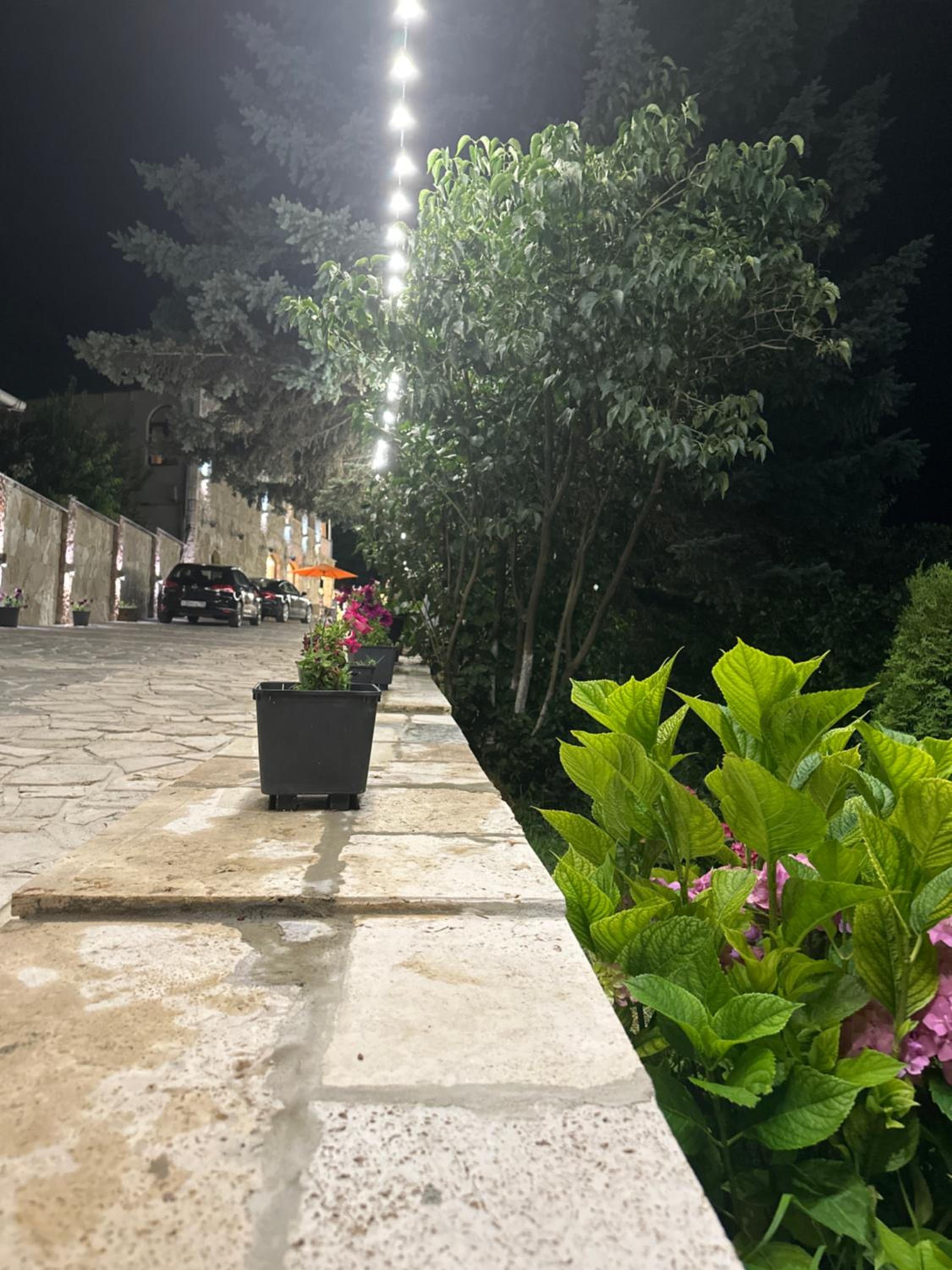 Amrots Deghceni - Boutique Castle Stay