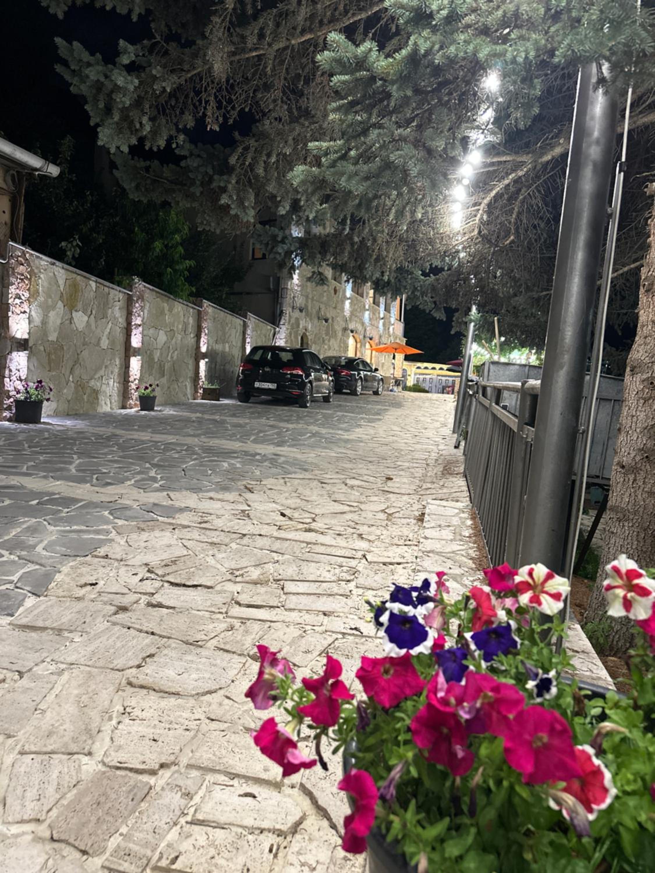 Amrots Deghceni - Boutique Castle Stay