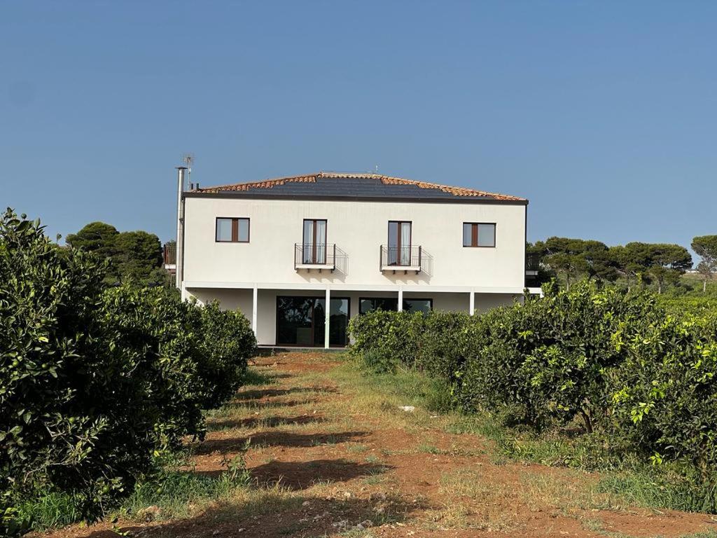 Tenuta Macconi Country Rooms view 5