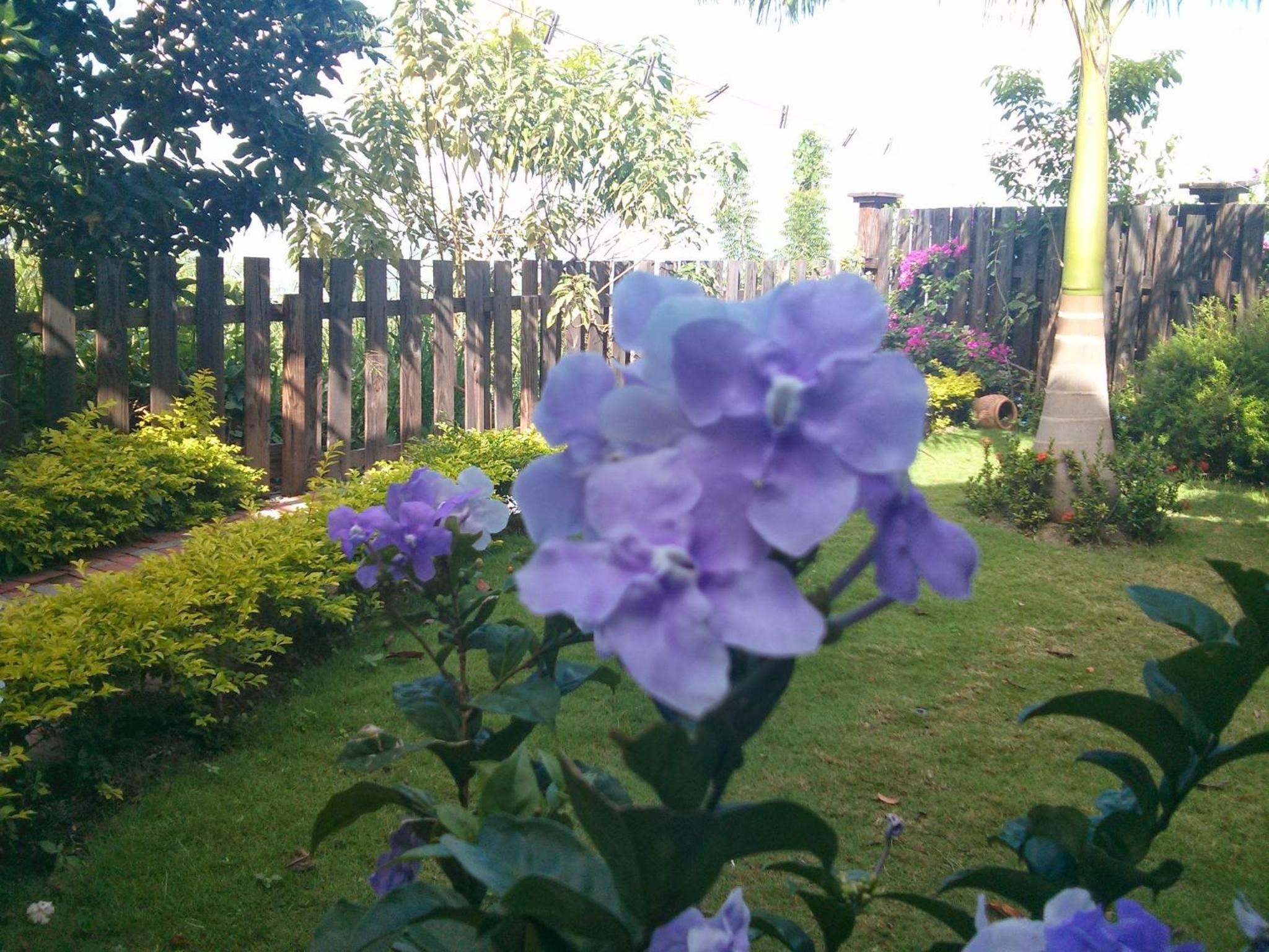 Photo 63