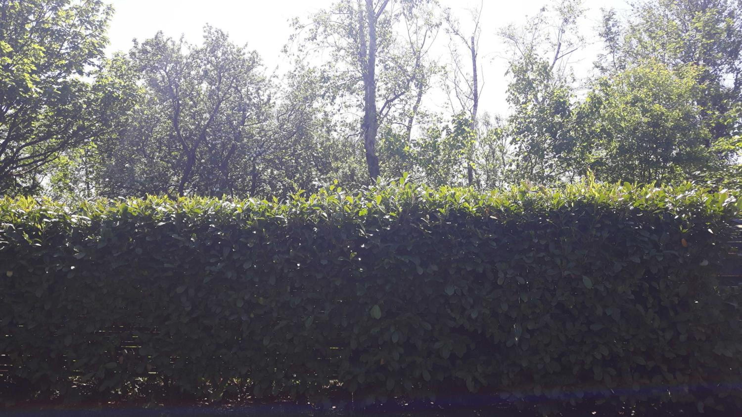 Ferienhaus Deichblick_SPO view 5