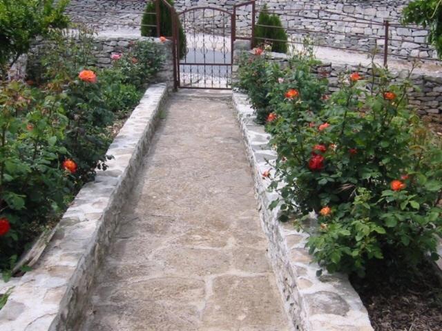Photo 18