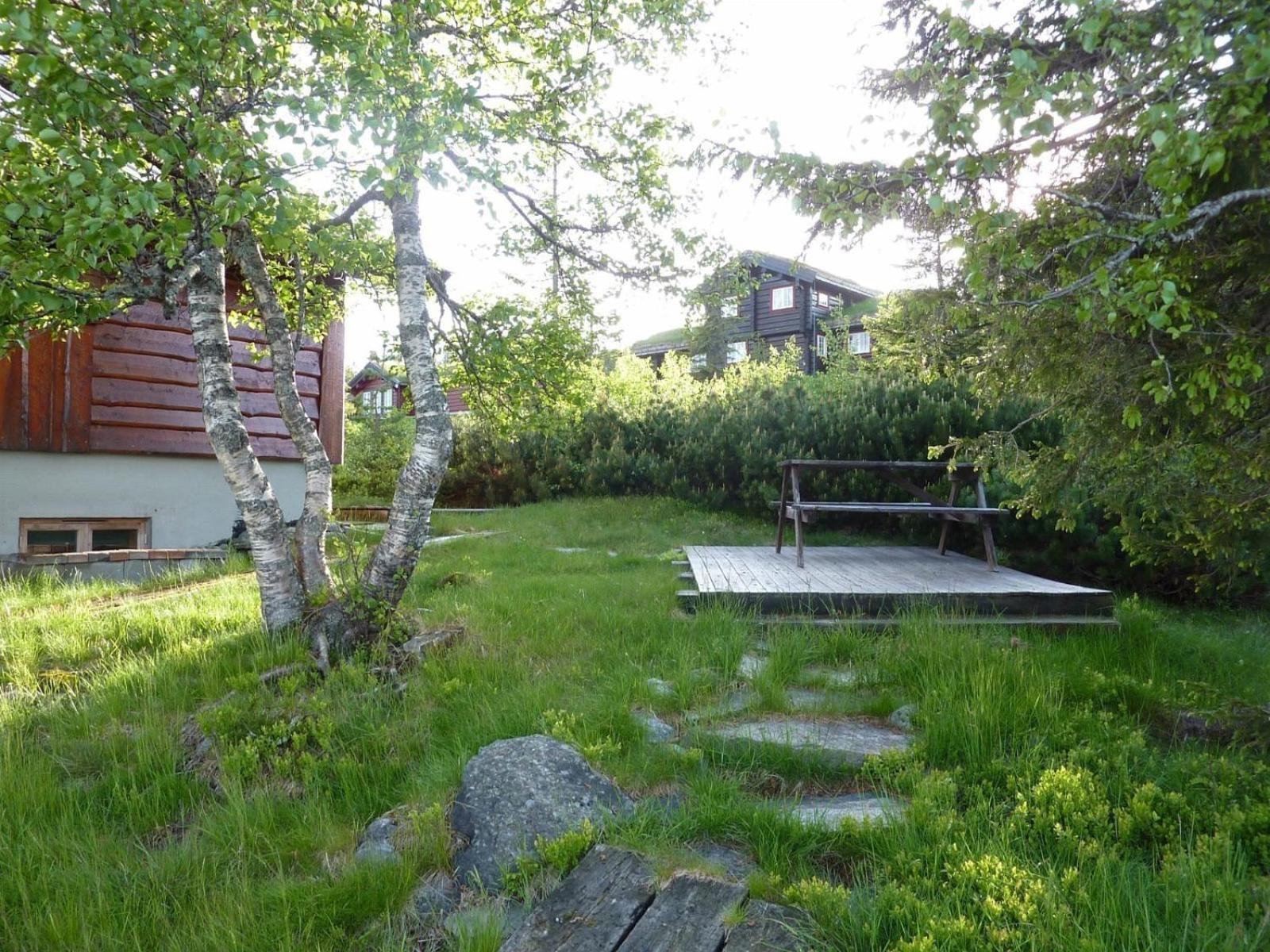 Photo 14