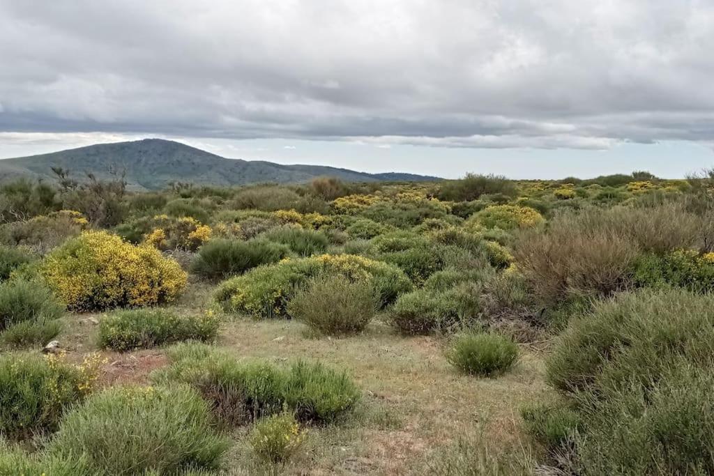 Casa Rural Dunas view 3