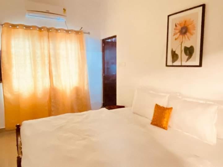 Fortis Rooms view 2