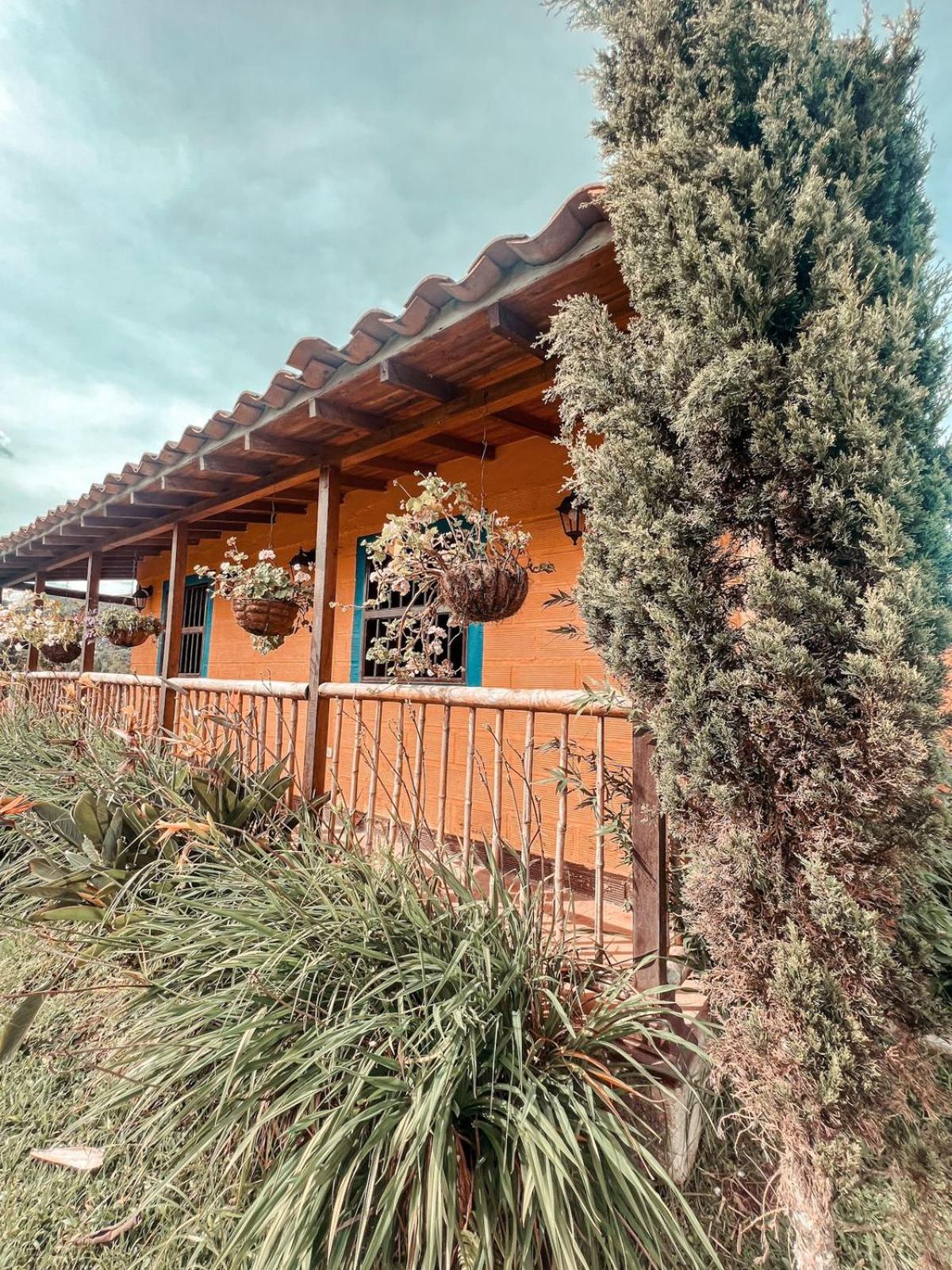 Las Orquídeas EcoHostel