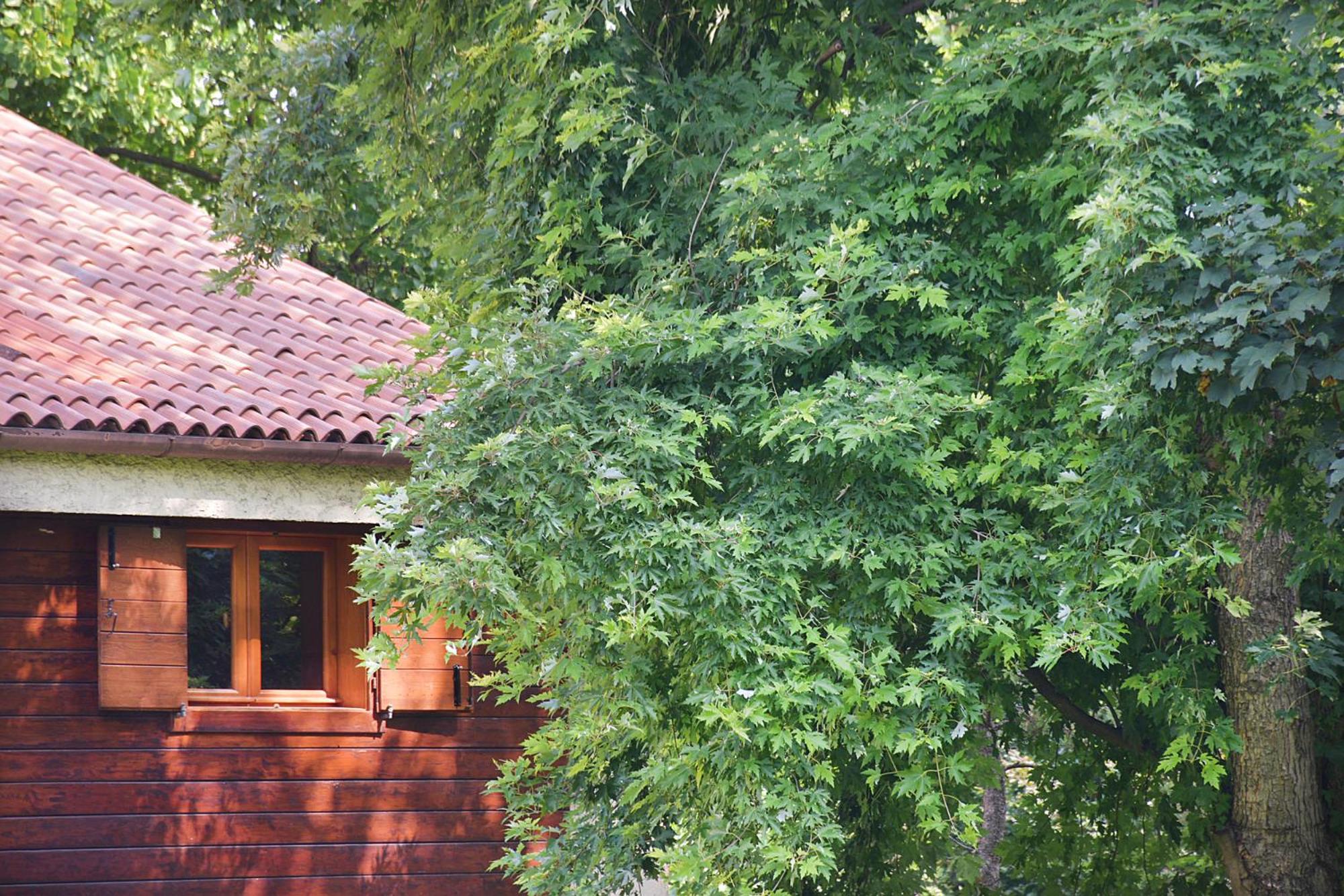 La Villa nel parco
