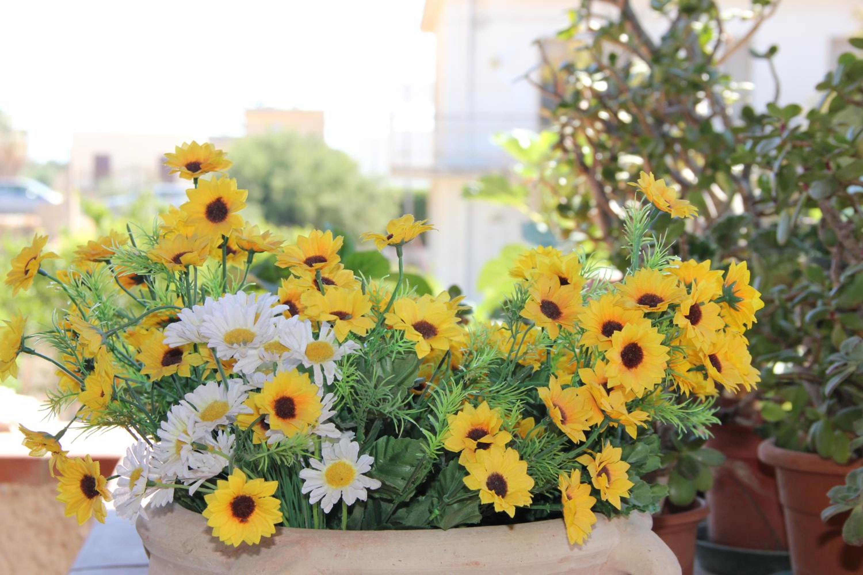 B&B Trapani Bedda photo 4